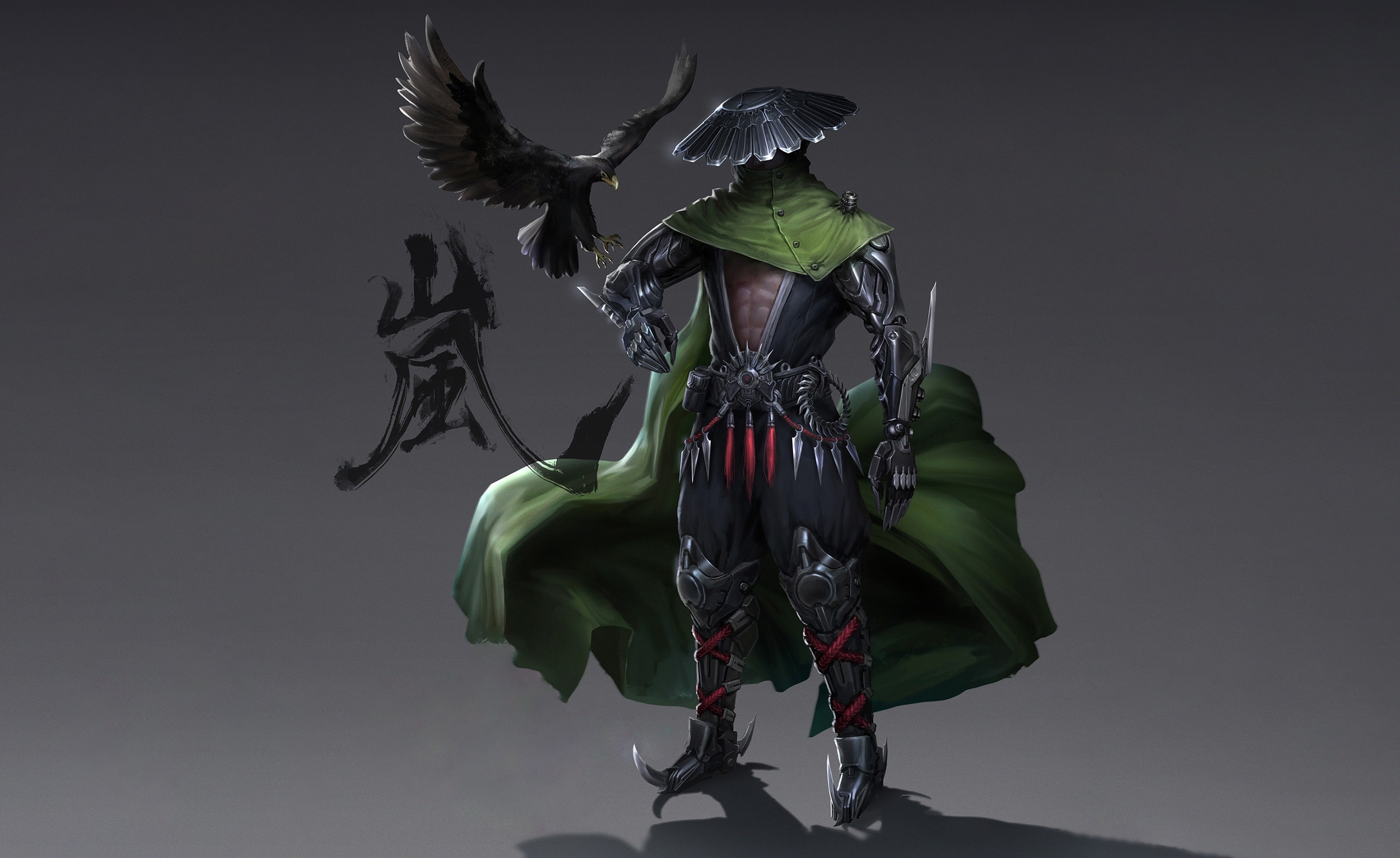 Warrior with a crow and Japanese calligraphy HD Wallpaper