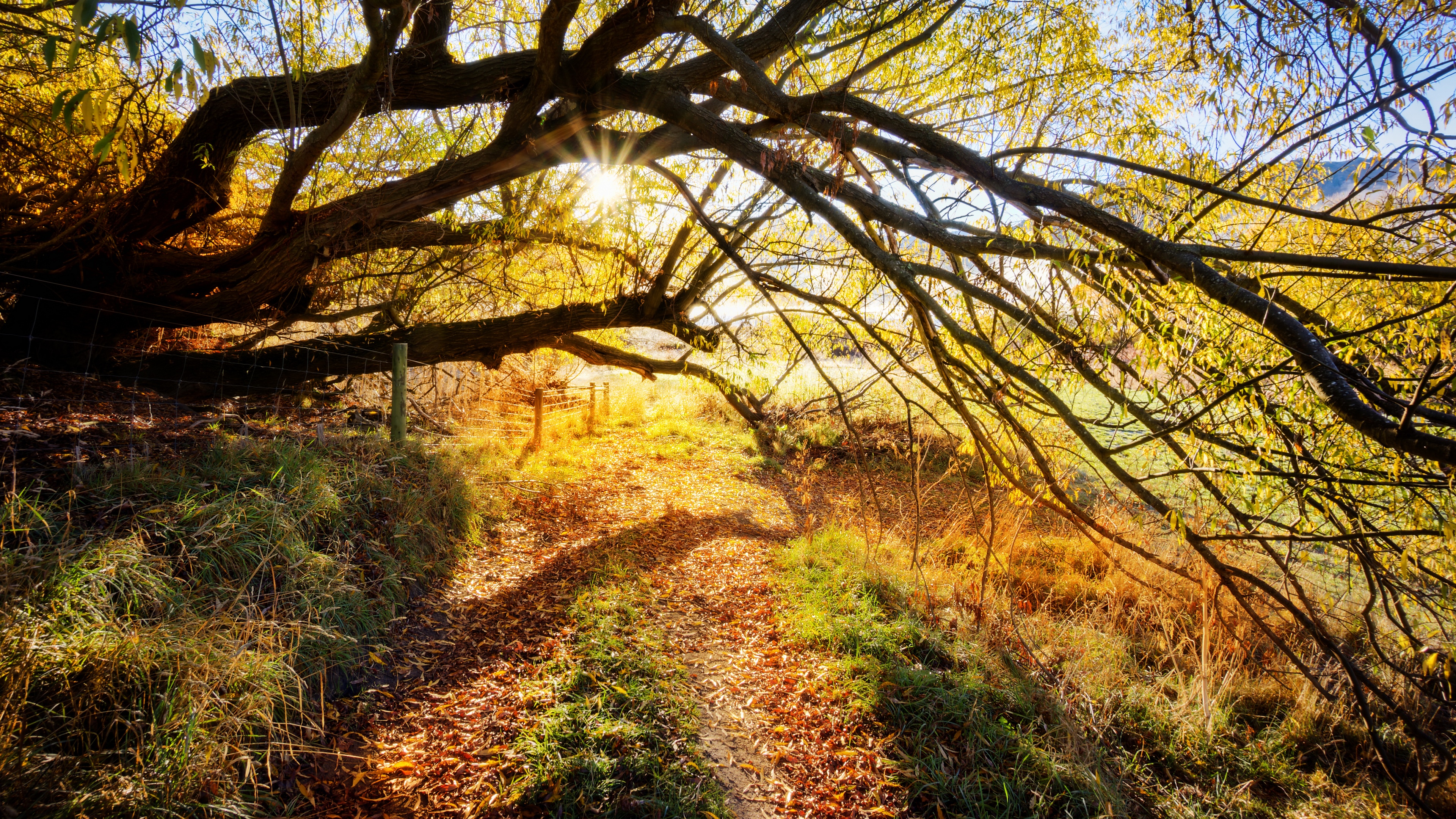 4K Arrowtown Queenstown New Zealand Fall Landscape HD Wallpaper
