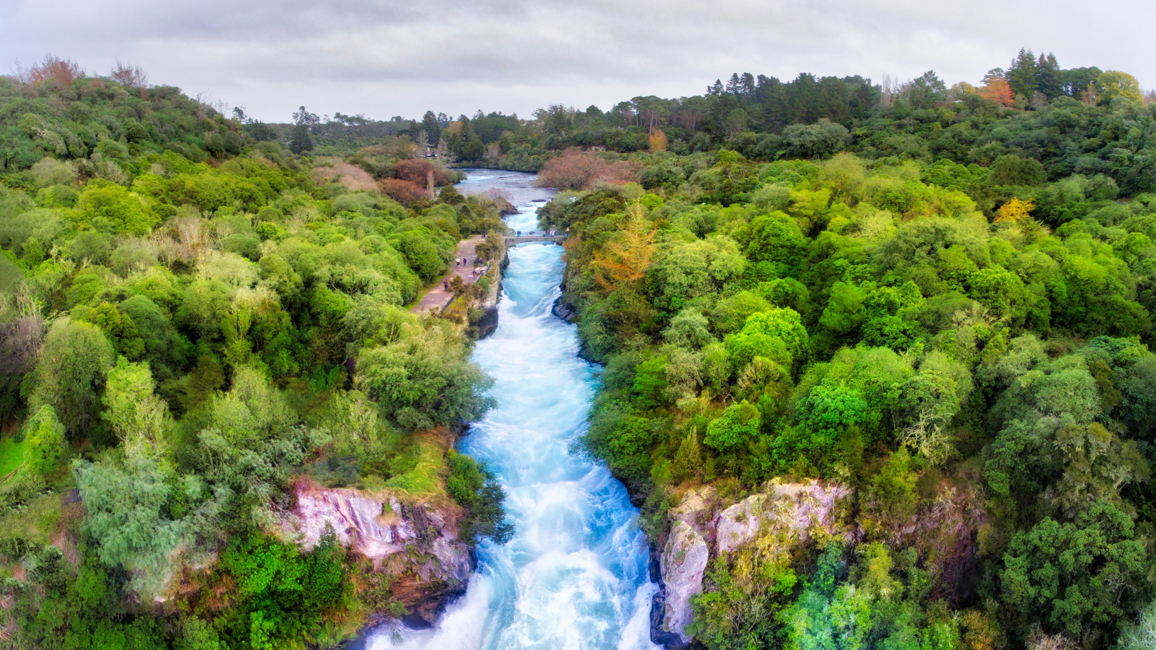 4K Huka Falls river flowing through a green forest in New Zealand HD Wallpaper