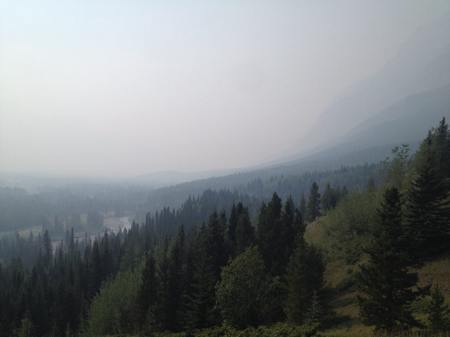 Smoky mountain landscape with evergreen trees HD Wallpaper