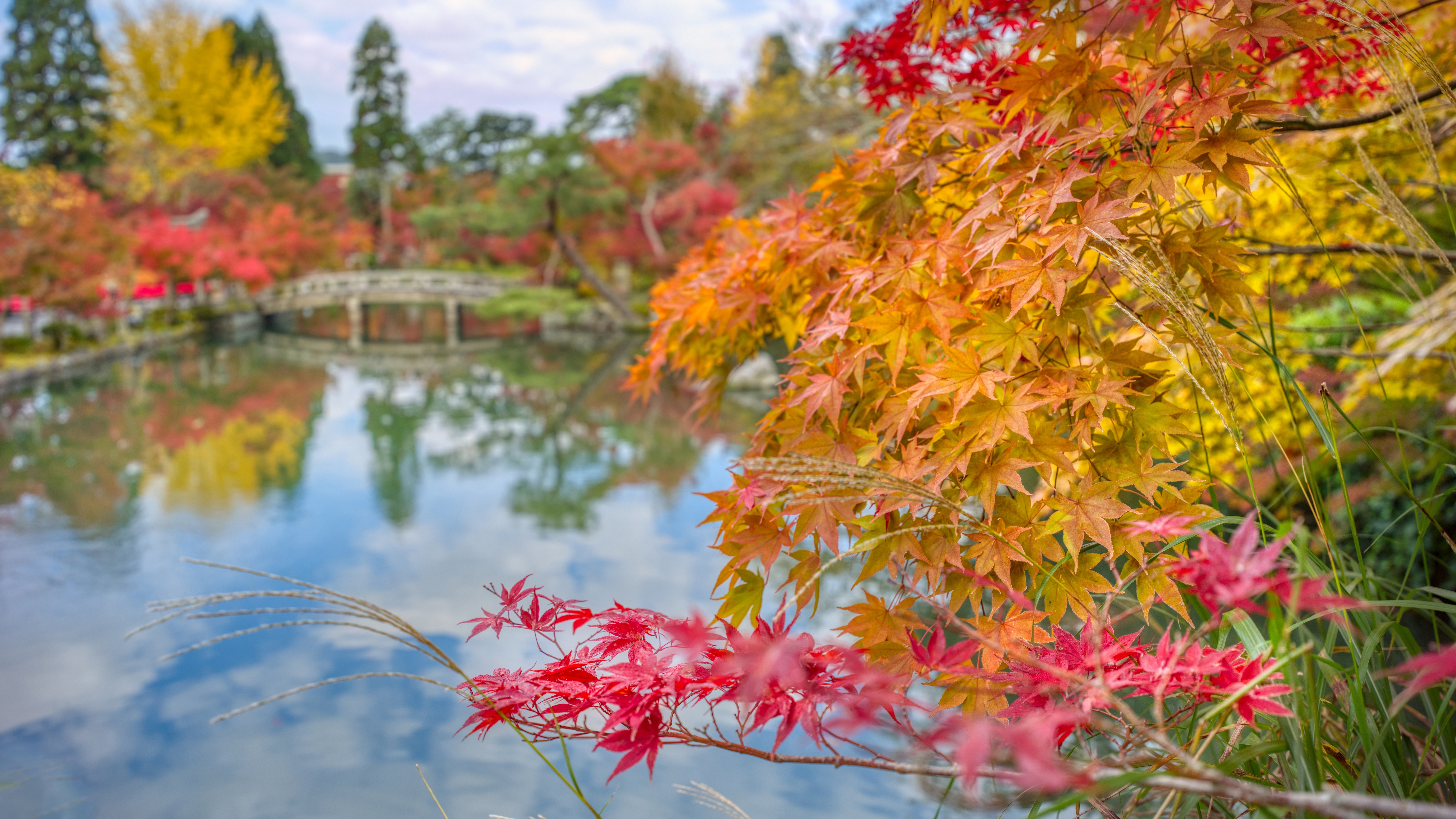 4K Fall Landscape with Japanese Garden and Pond HD Wallpaper