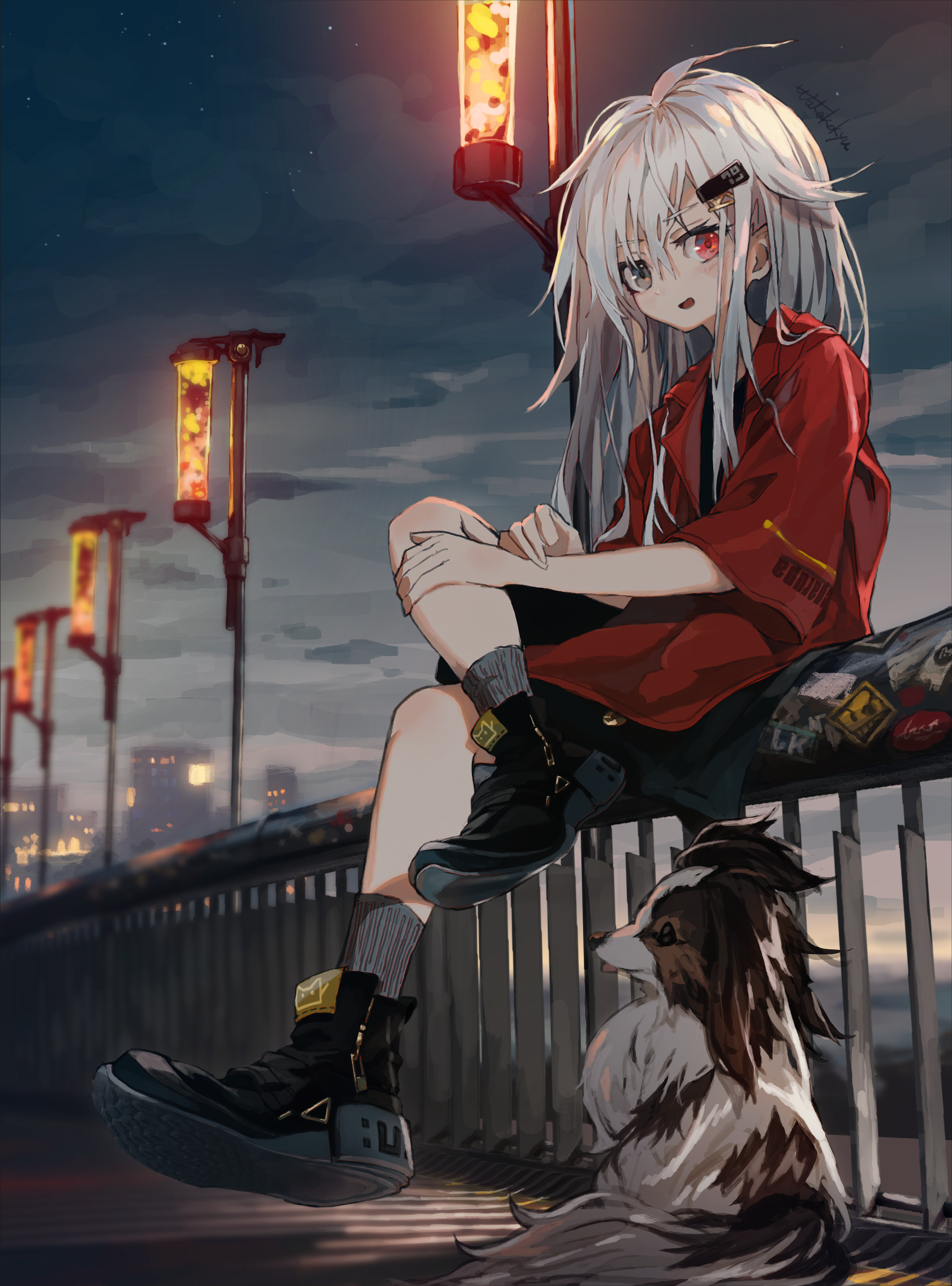Anime girl with white hair and a dog at night HD Phone Wallpaper