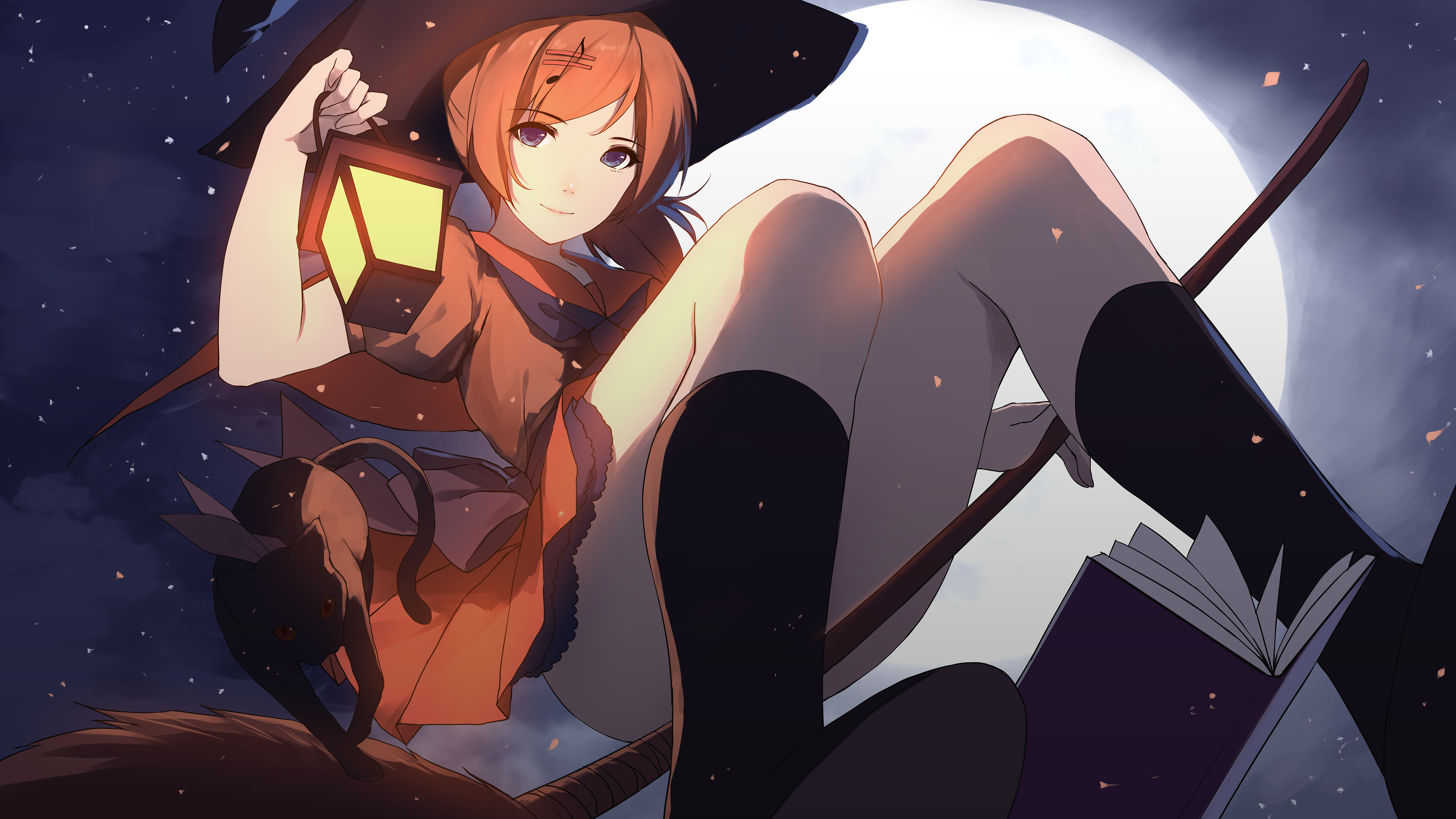 4K Witch with Lantern and Cat on Broom HD Wallpaper