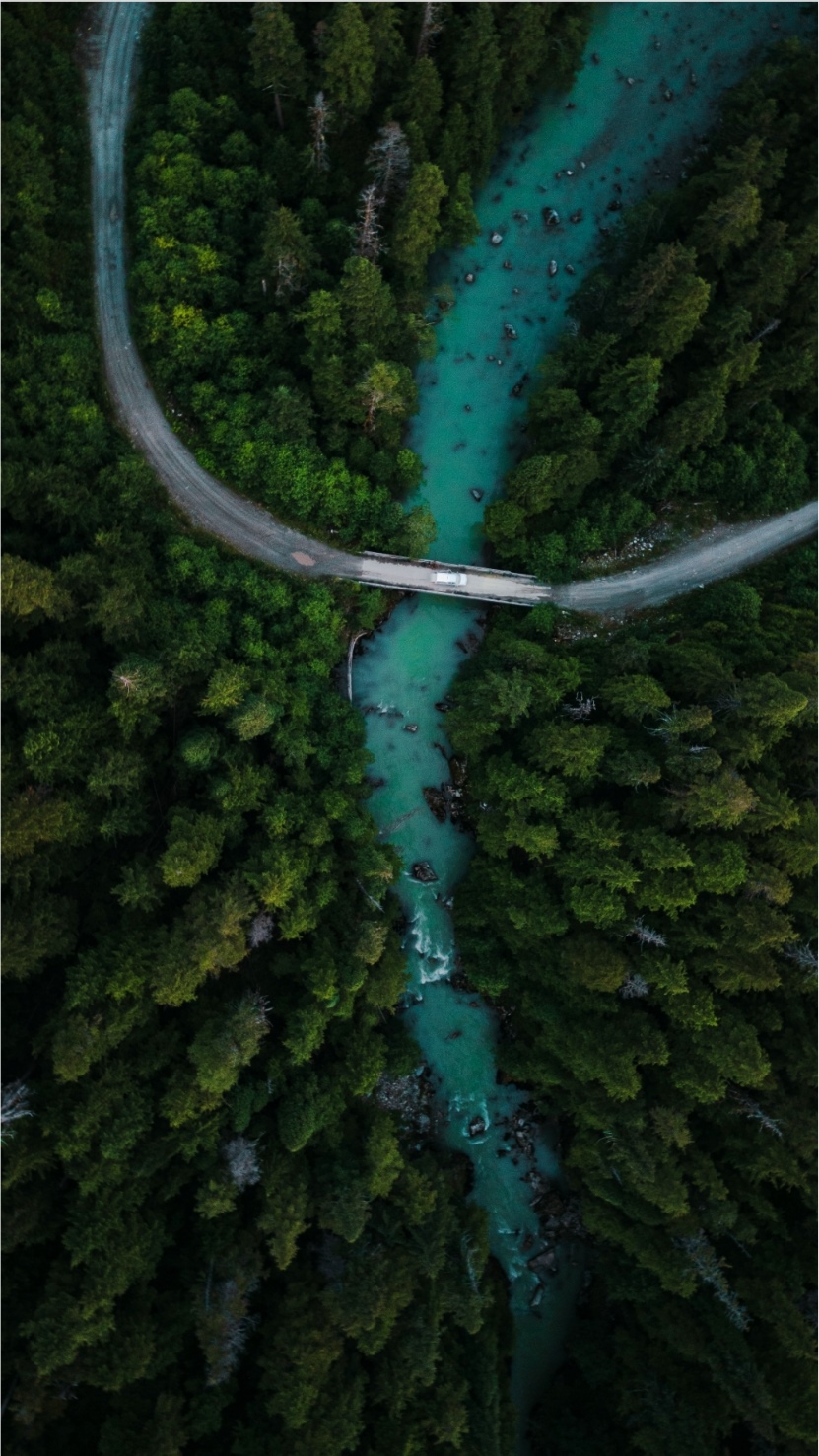 Aerial view of a turquoise river flowing through a dense forest with a road and bridge HD Phone Wallpaper
