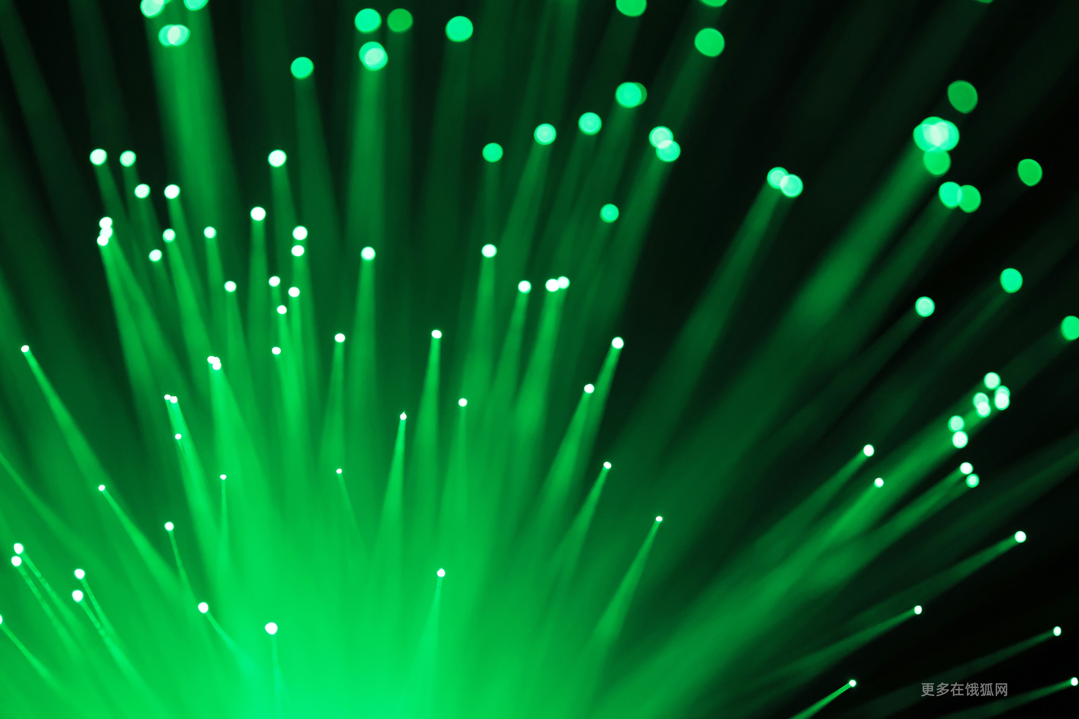 Abstract green fiber optic lights HD Wallpaper