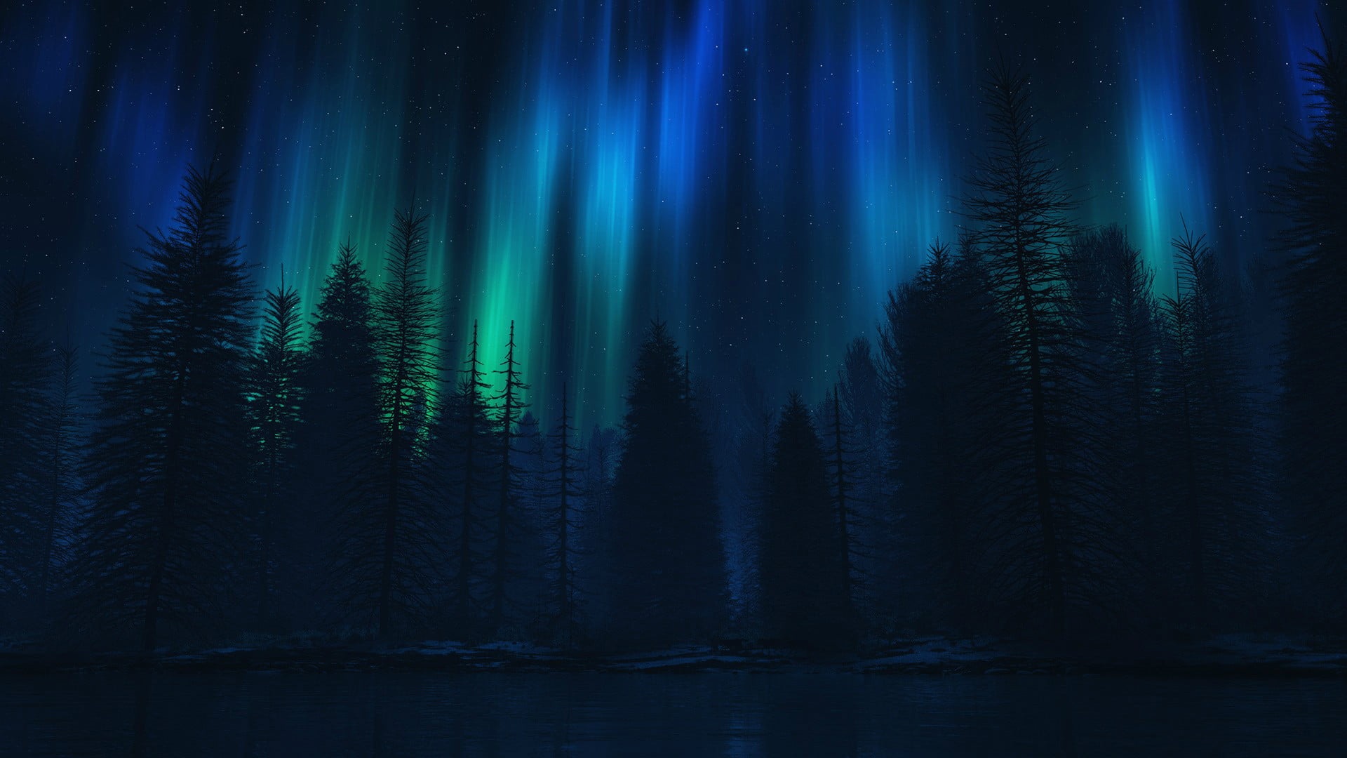 Aurora Borealis over a dark forest and lake HD Wallpaper