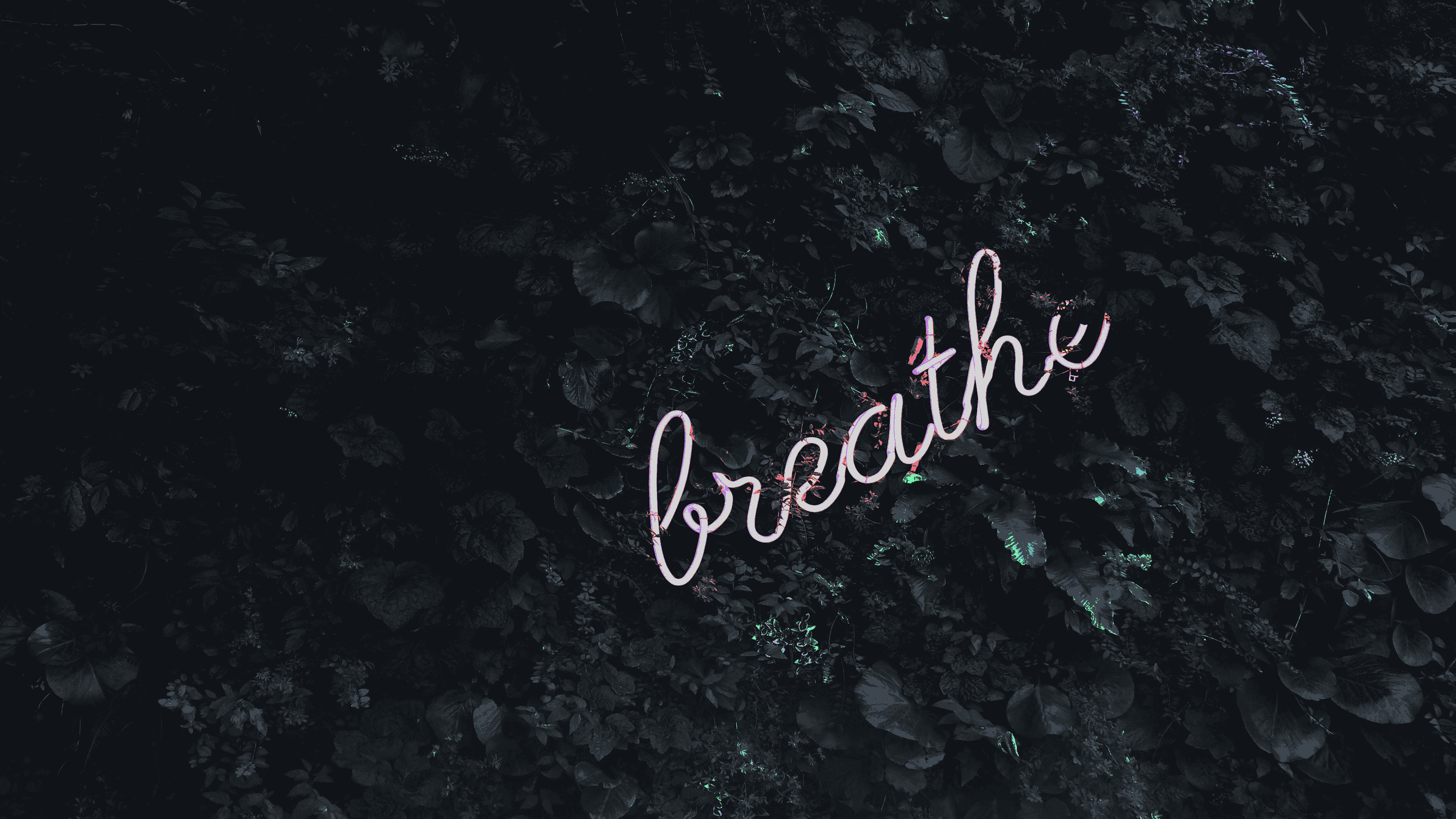 Neon 'breathe' sign on a dark leafy background HD Wallpaper