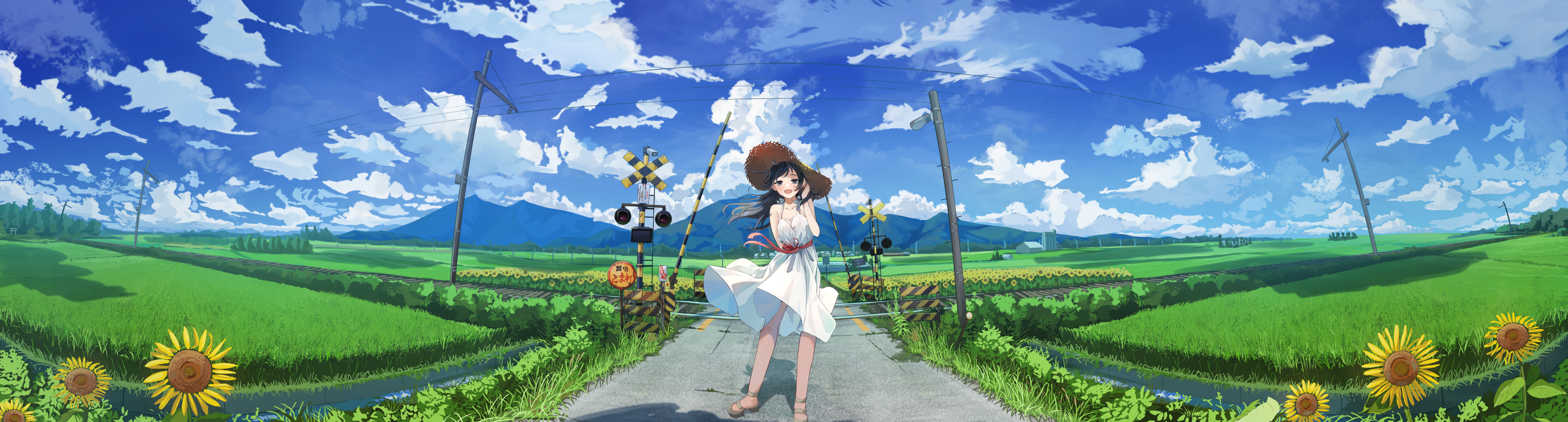 Girl in a straw hat at a railroad crossing with sunflowers HD Wallpaper