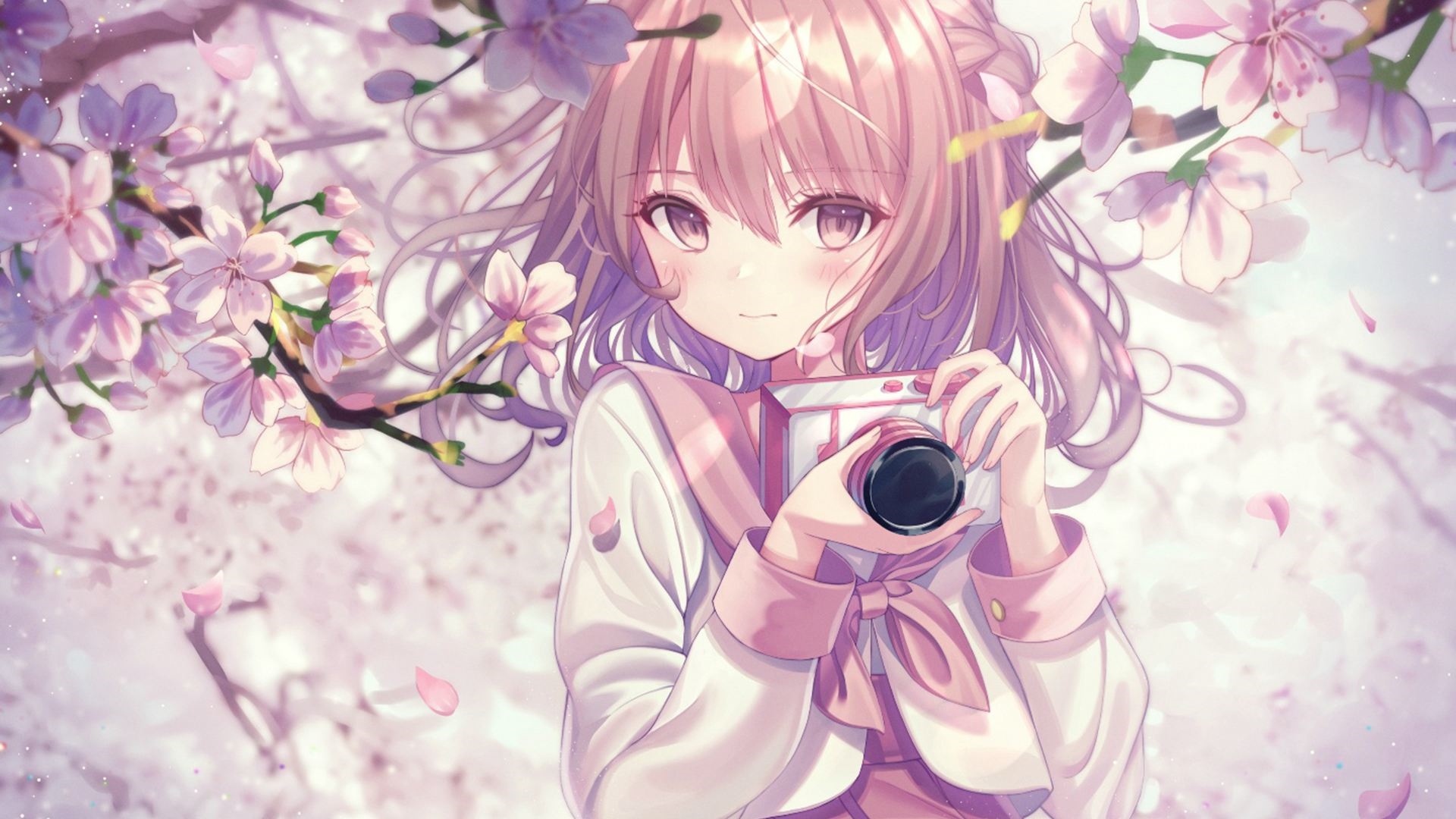 Anime girl with pink hair holding a camera under cherry blossoms HD Wallpaper