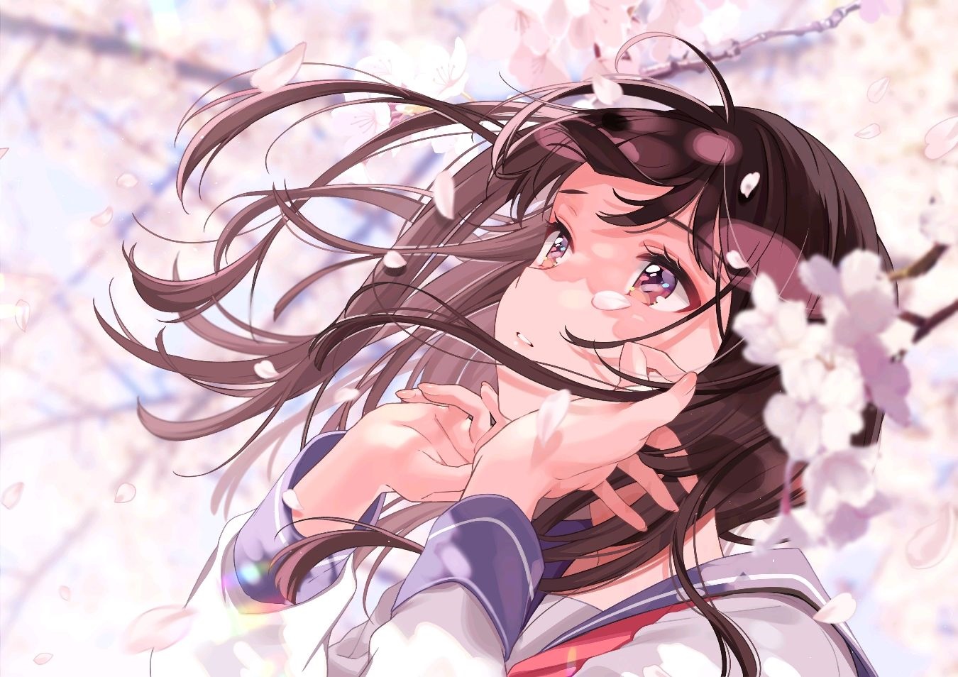 Shigure Ui in a school uniform with cherry blossoms HD Wallpaper