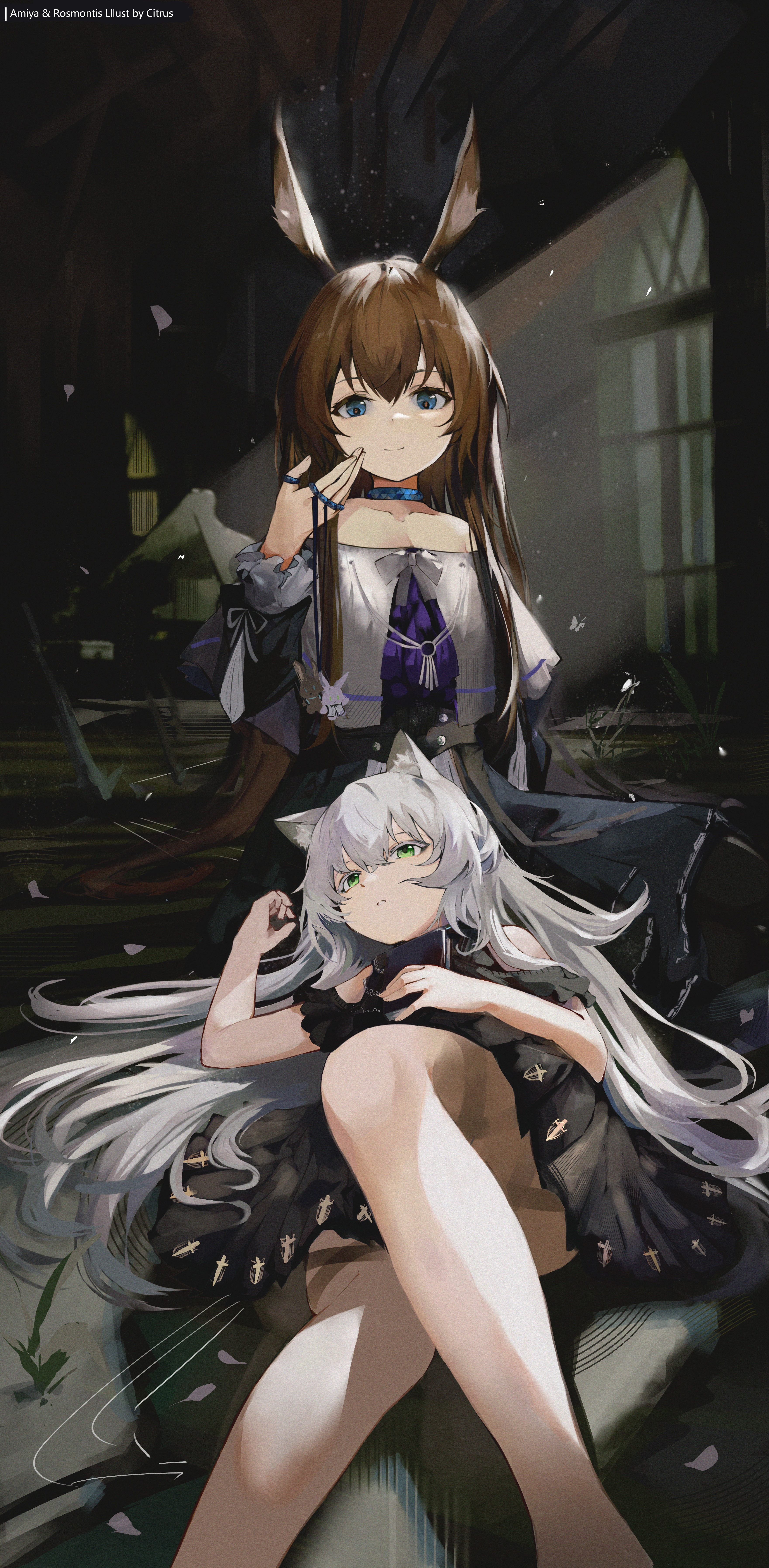 Amiya & Rosmontis from Arknights in an old building HD Phone Wallpaper