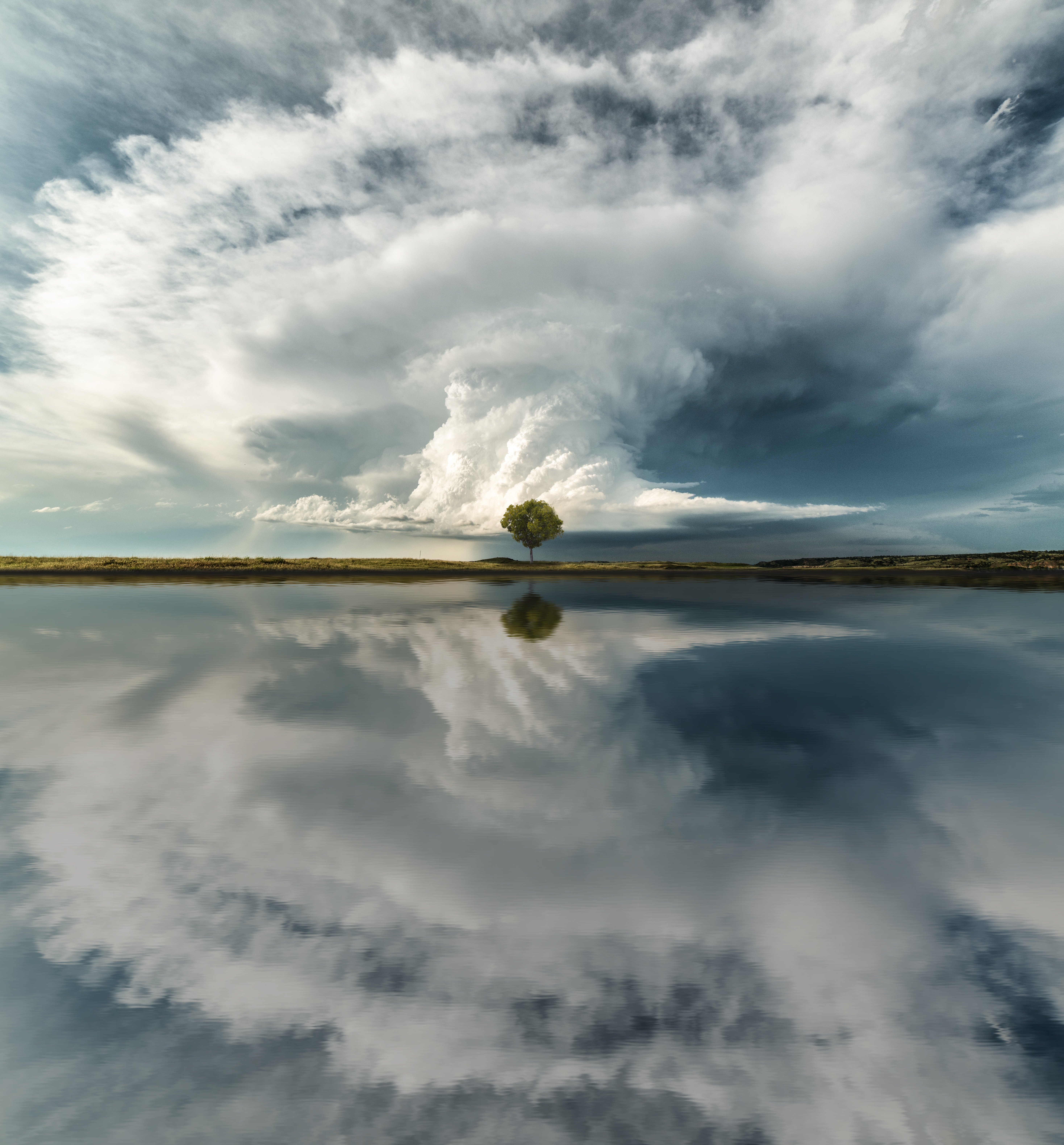 Lone tree reflected in a lake under dramatic clouds in Montana HD Wallpaper
