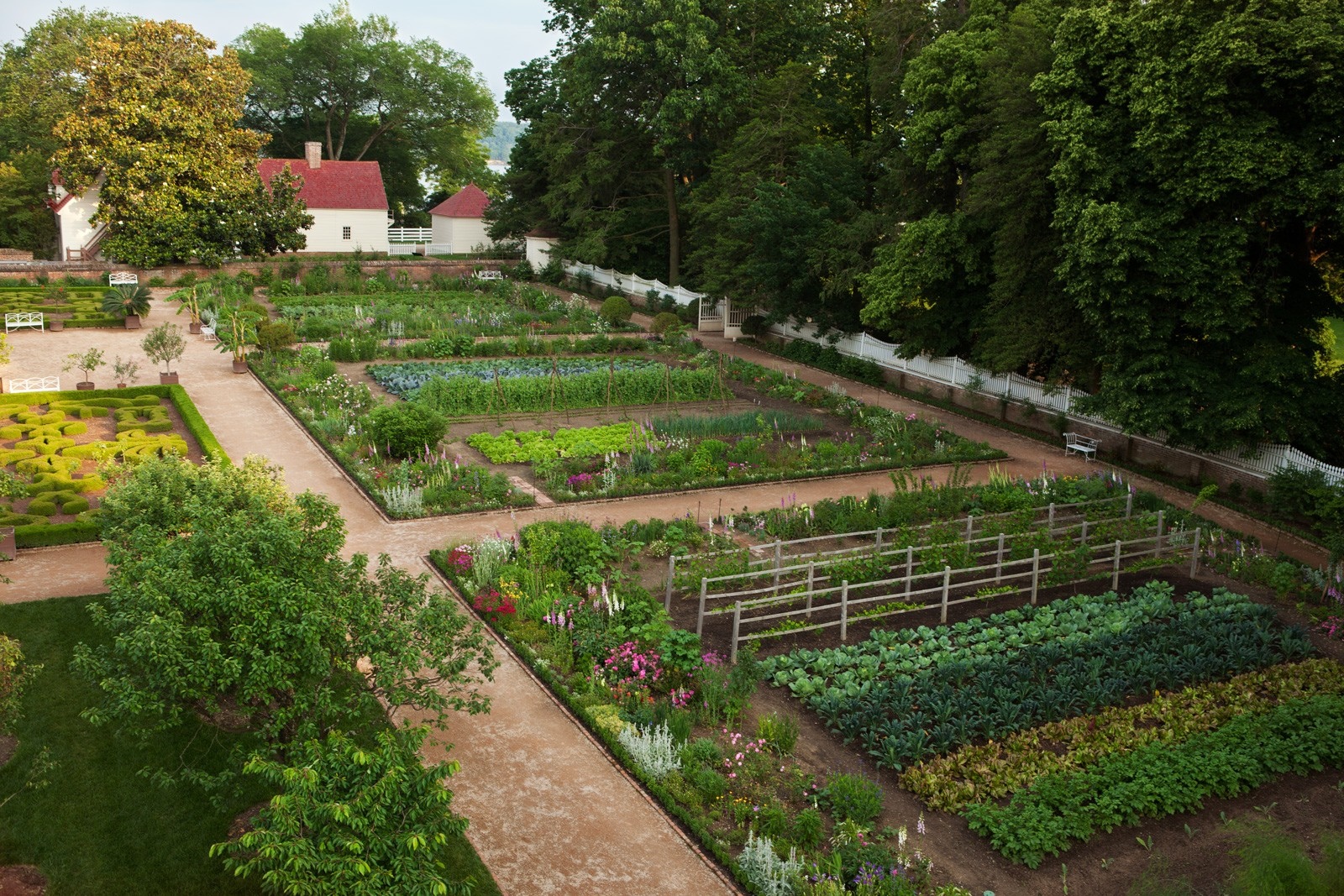 Formal garden with vegetables and flowers near a house HD Wallpaper