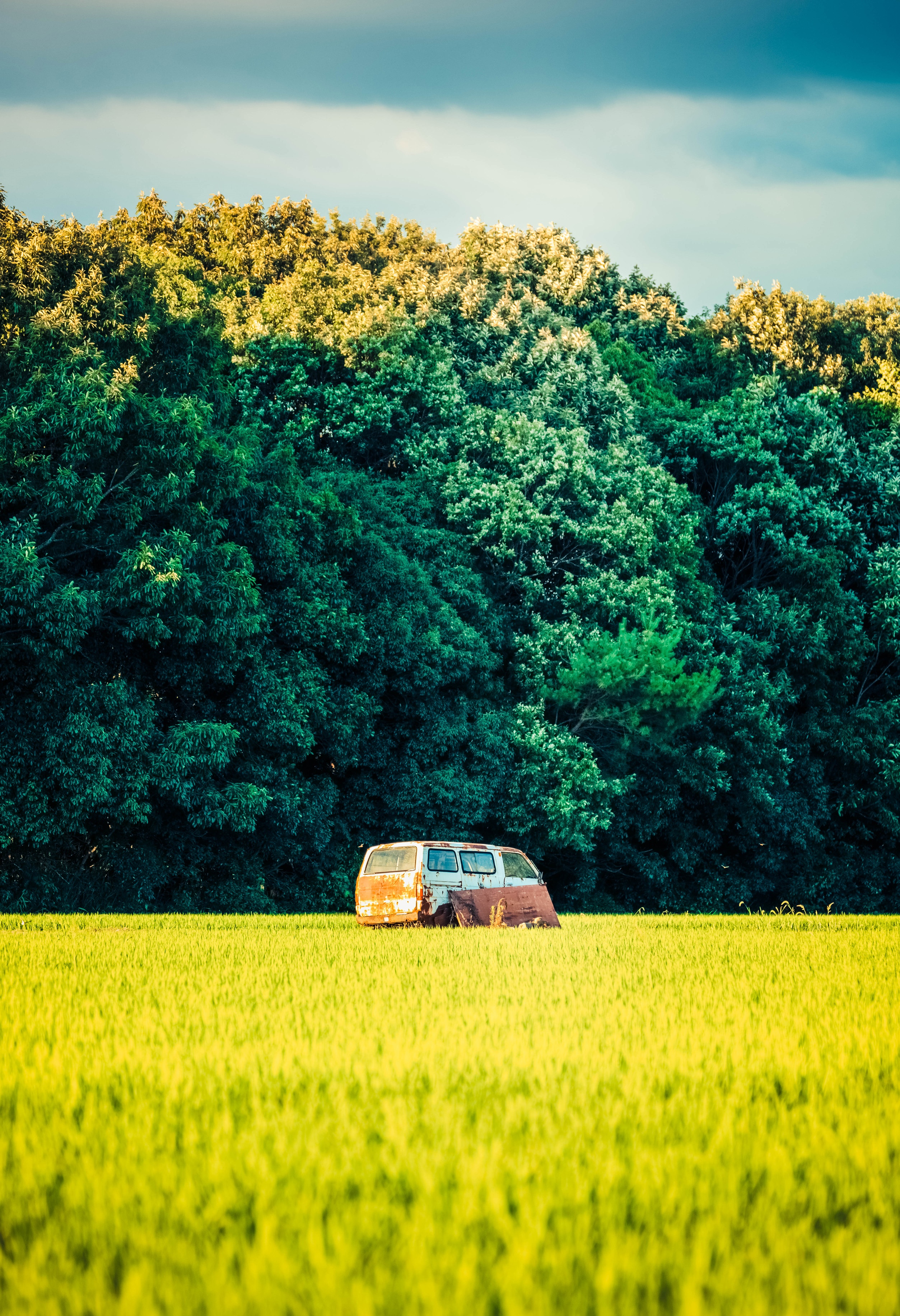 Old van in a field of grass with trees HD Phone Wallpaper