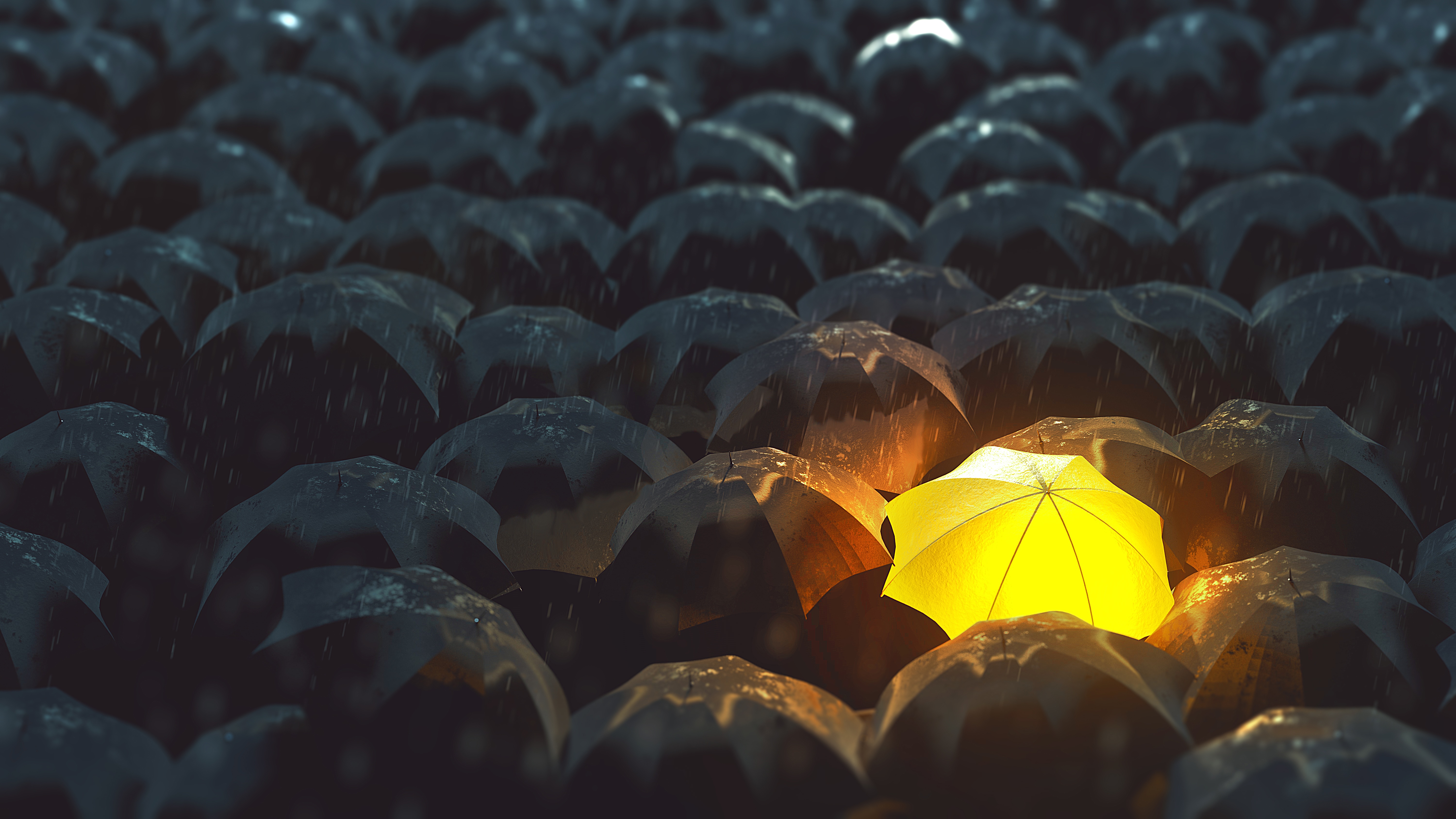 Yellow umbrella glowing in the rain among dark umbrellas HD Wallpaper