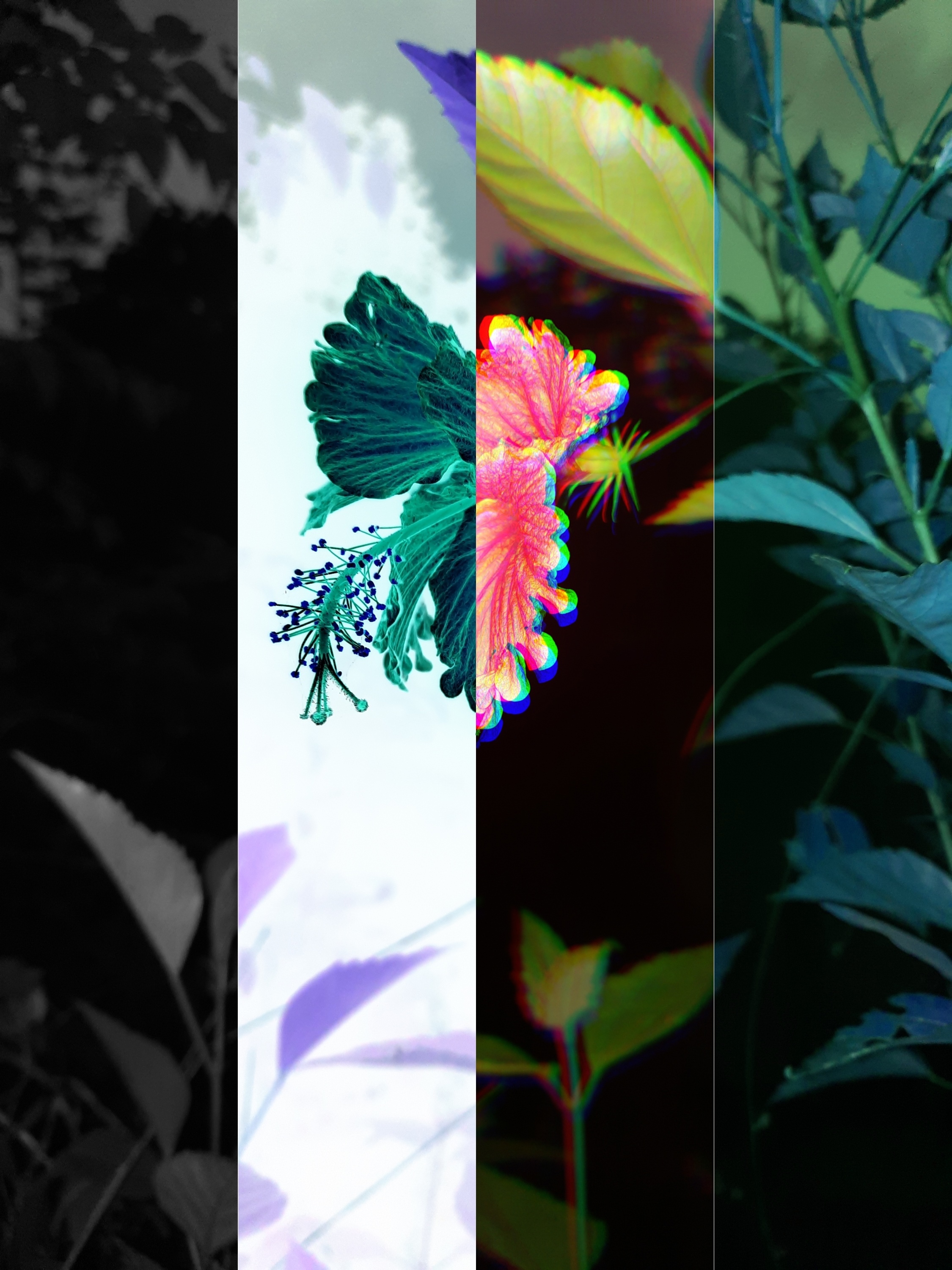 Edited nature scene with flowers and VHS effect HD Phone Wallpaper