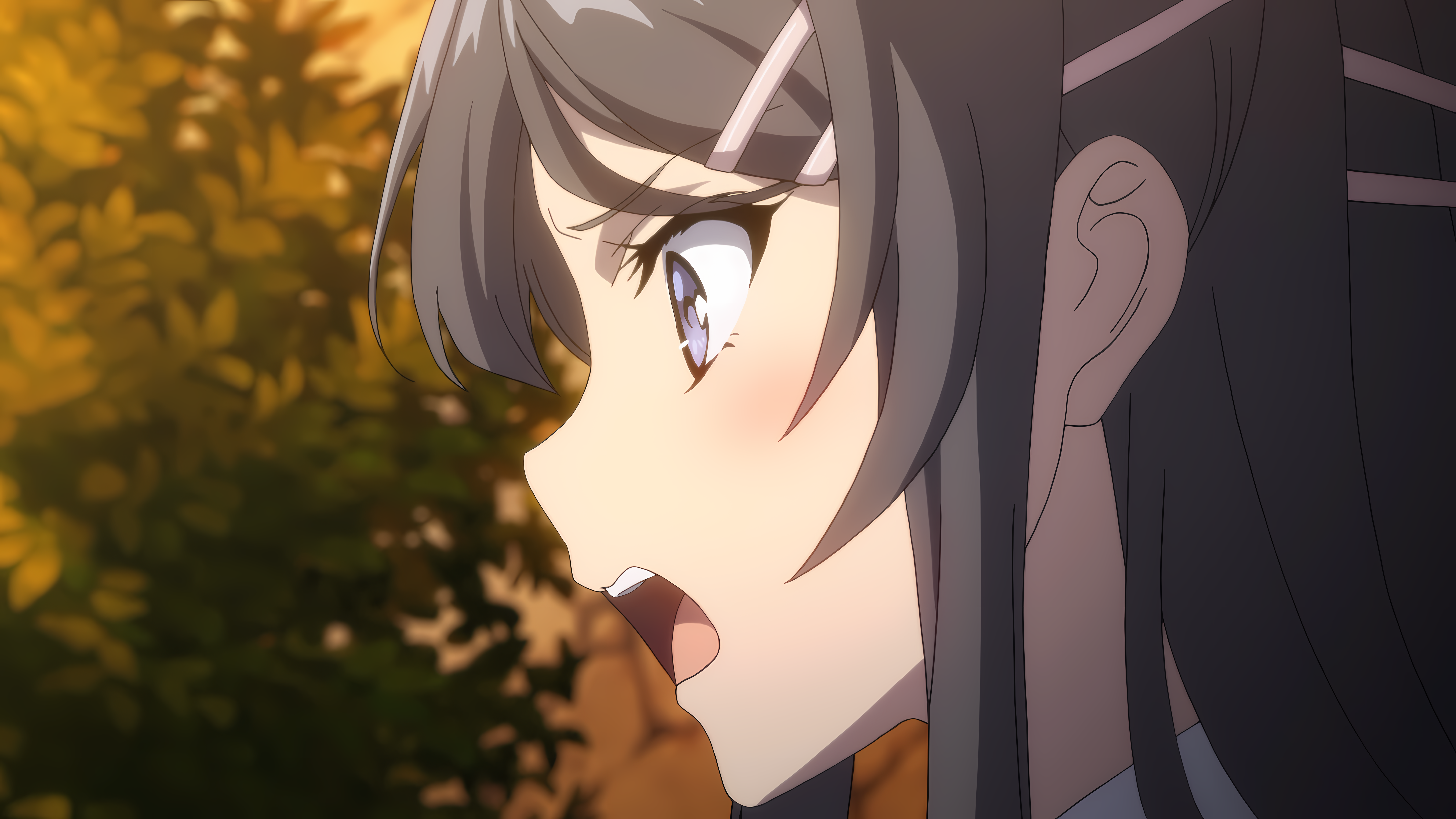 Sakurajima Mai from Seishun Buta Yarou wa Bunny Girl Senpai no Yume wo Minai HD Wallpaper