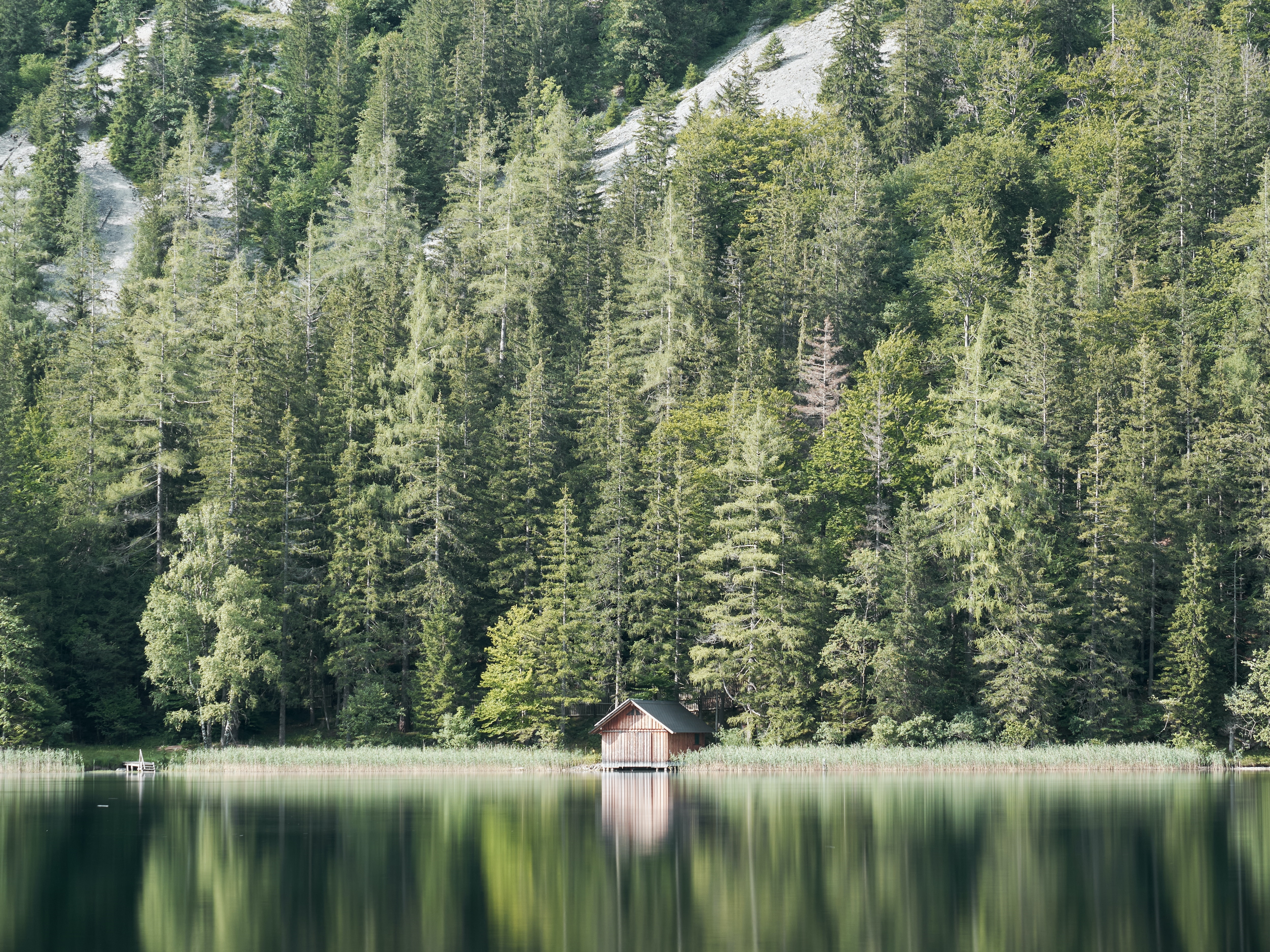 Lake with a boathouse and forest reflection HD Wallpaper