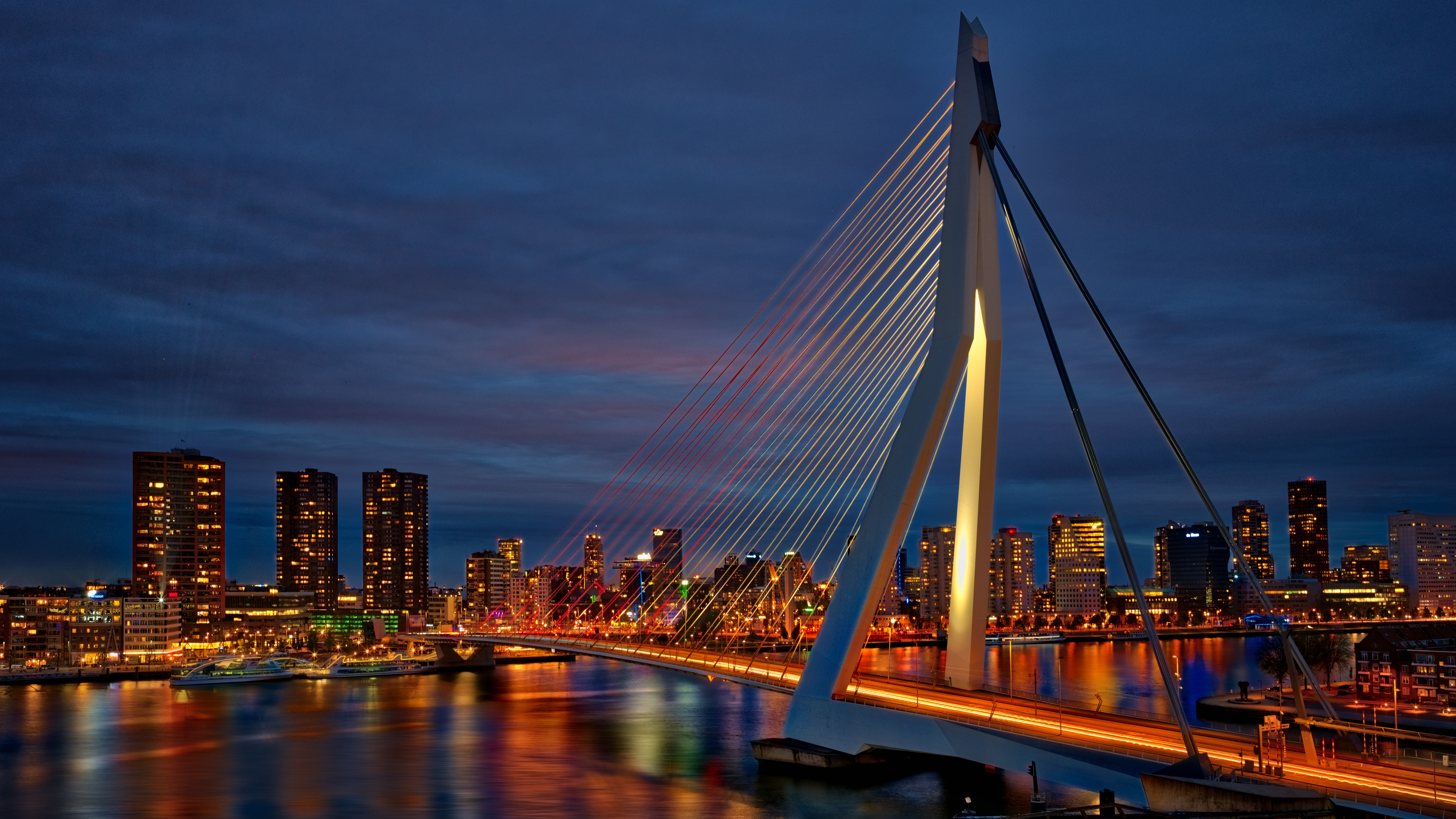 Erasmus Bridge in Rotterdam at Night HD Wallpaper