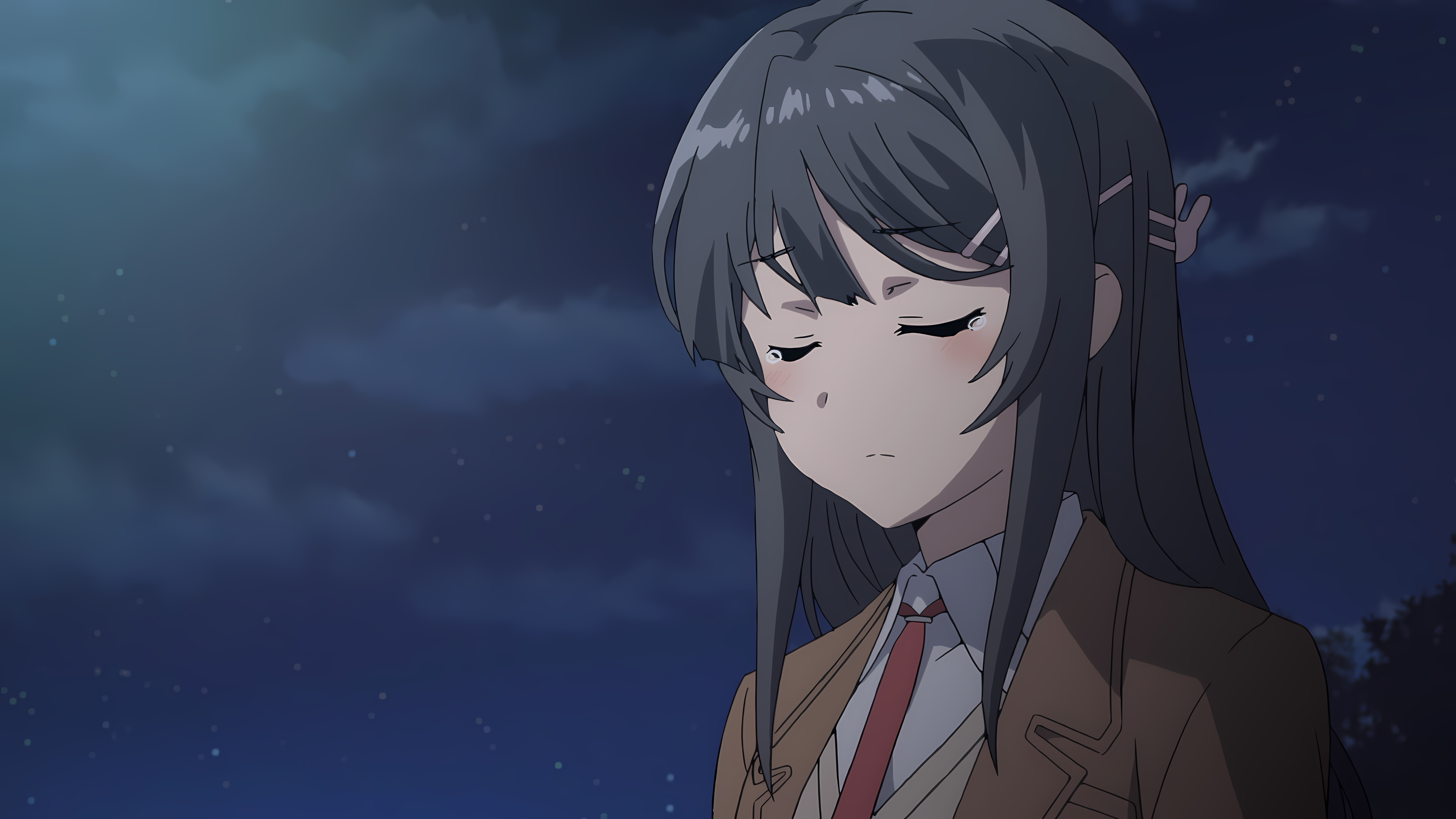 Sakurajima Mai from Seishun Buta Yarō wa Bunny Girl-senpai no Yume wo Minai HD Wallpaper