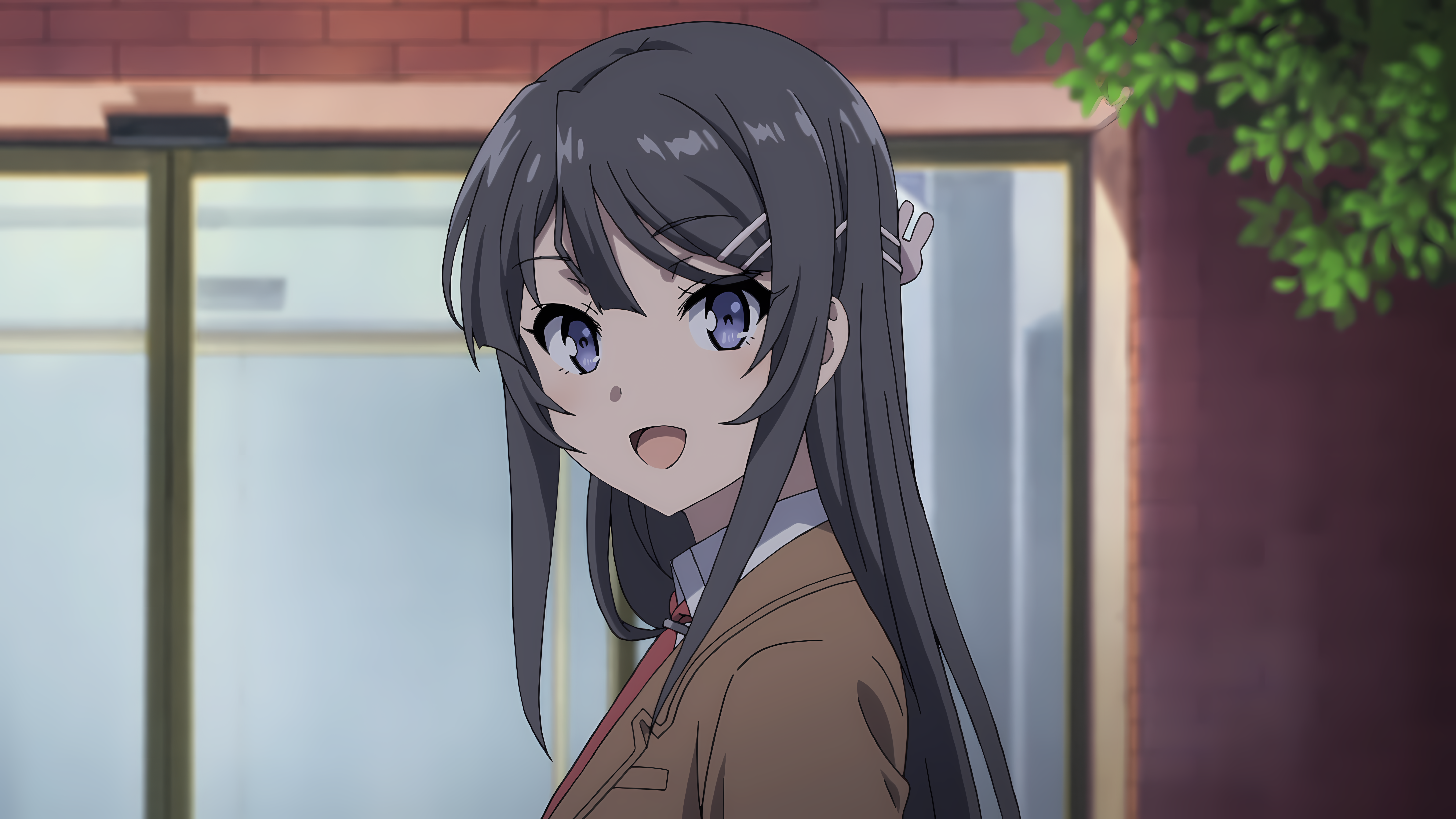 Sakurajima Mai from Seishun Buta Yarou wa Bunny Girl Senpai no Yume wo Minai HD Wallpaper