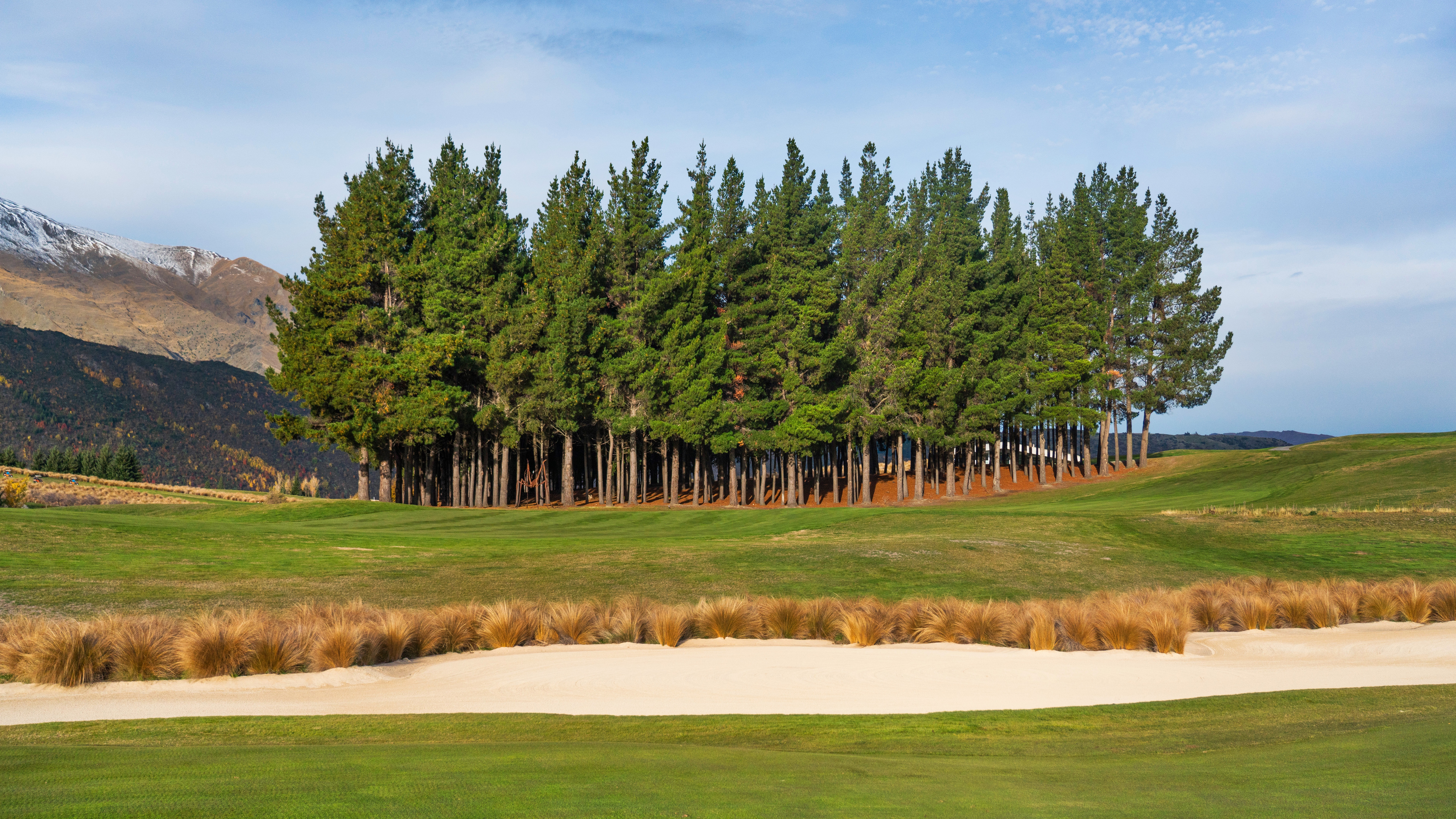 4K New Zealand Golf Course with Pine Trees and Mountains HD Wallpaper