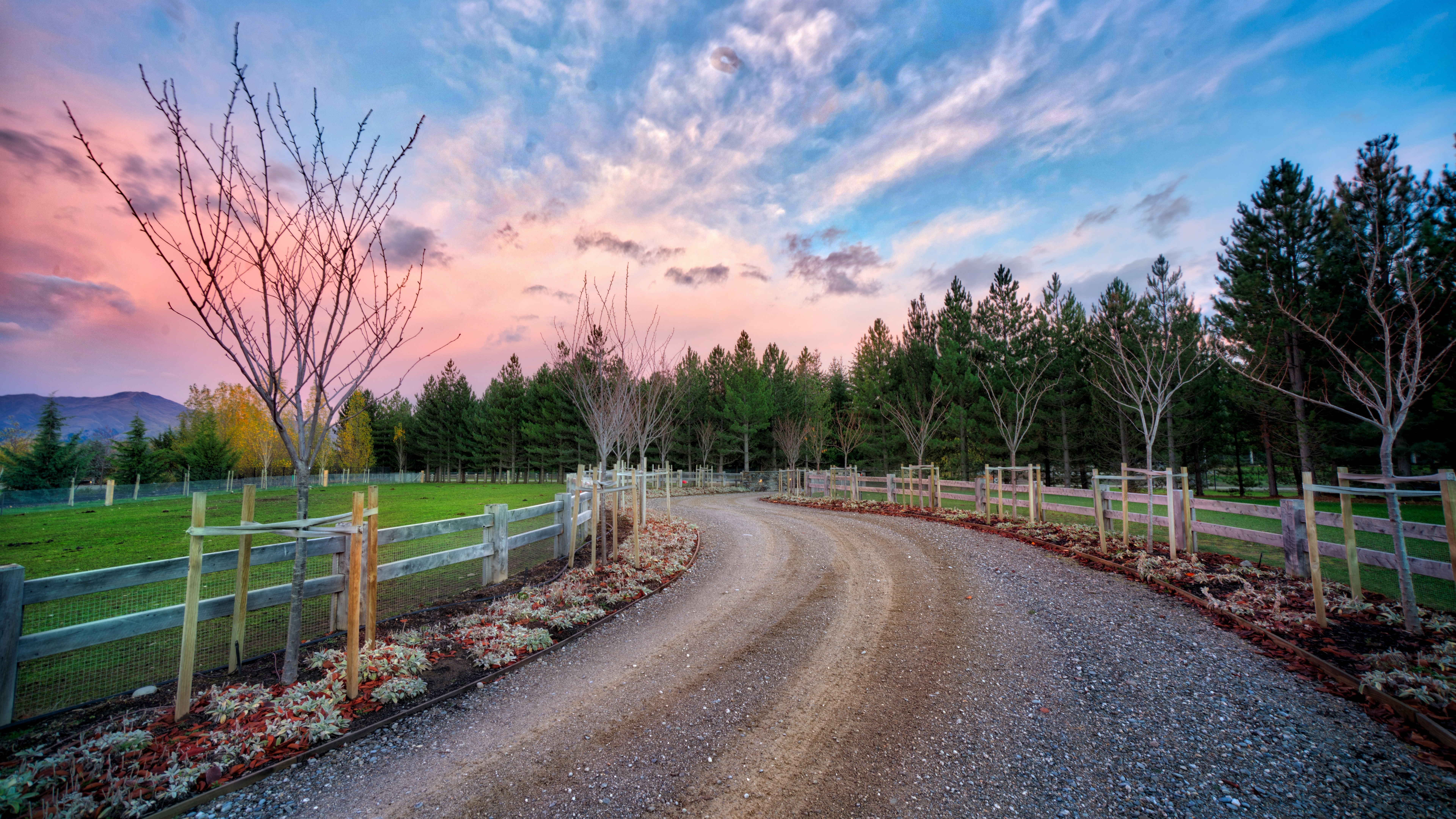 4K Wanaka New Zealand Road and Trees HD Wallpaper