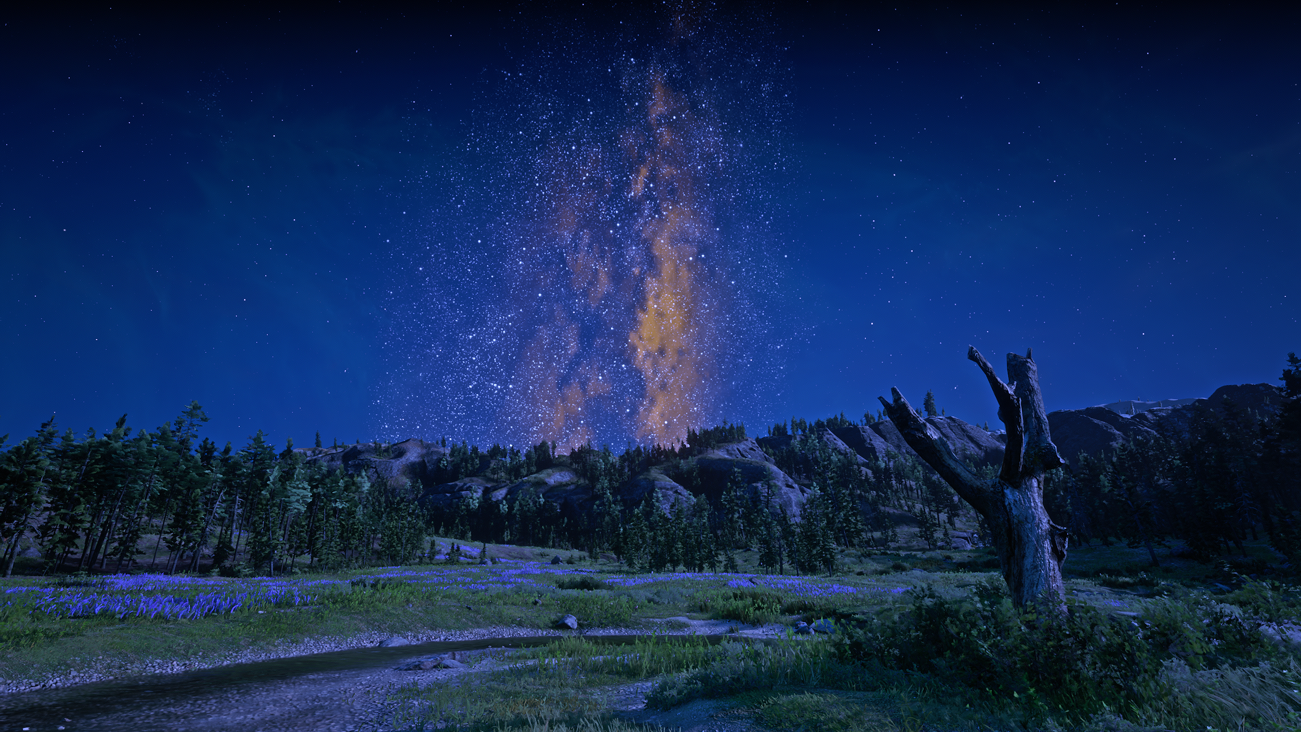 Red Dead Redemption 2 night sky with Milky Way HD Wallpaper