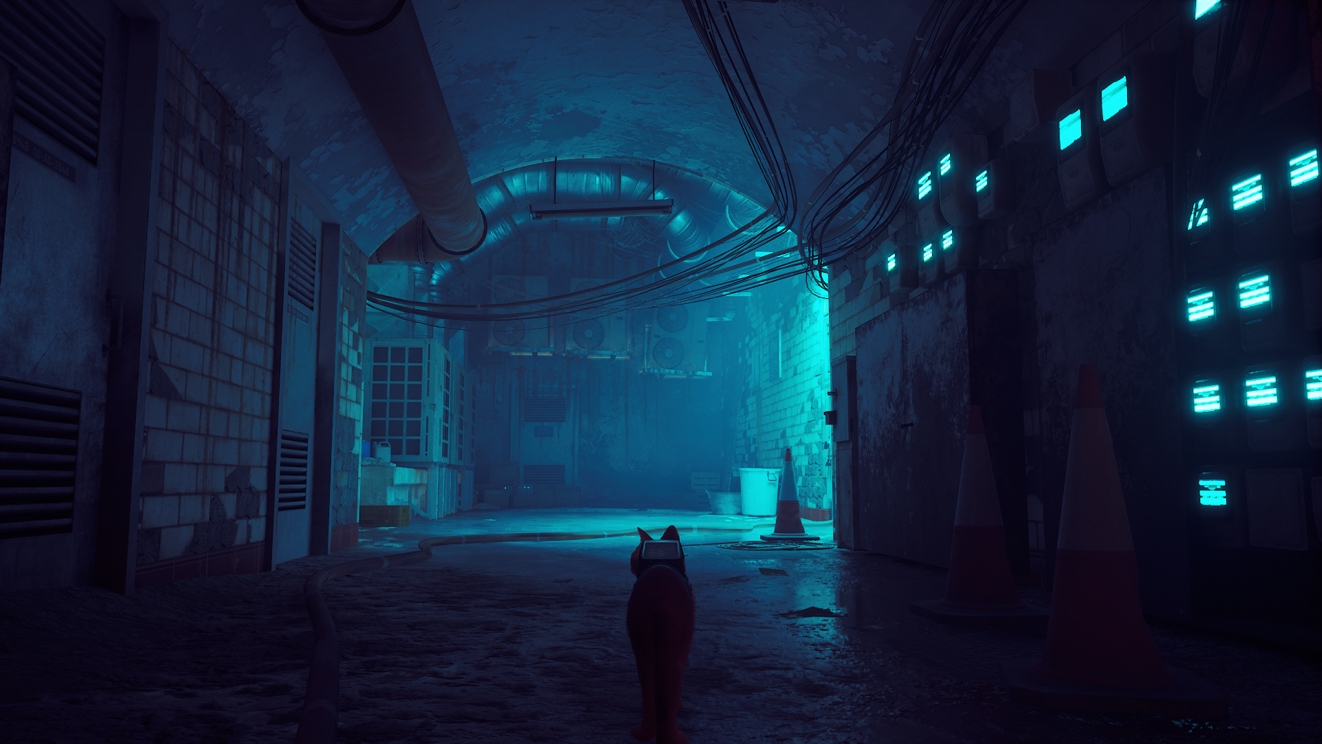 Cat in a neon-lit cyberpunk alleyway in Stray HD Wallpaper