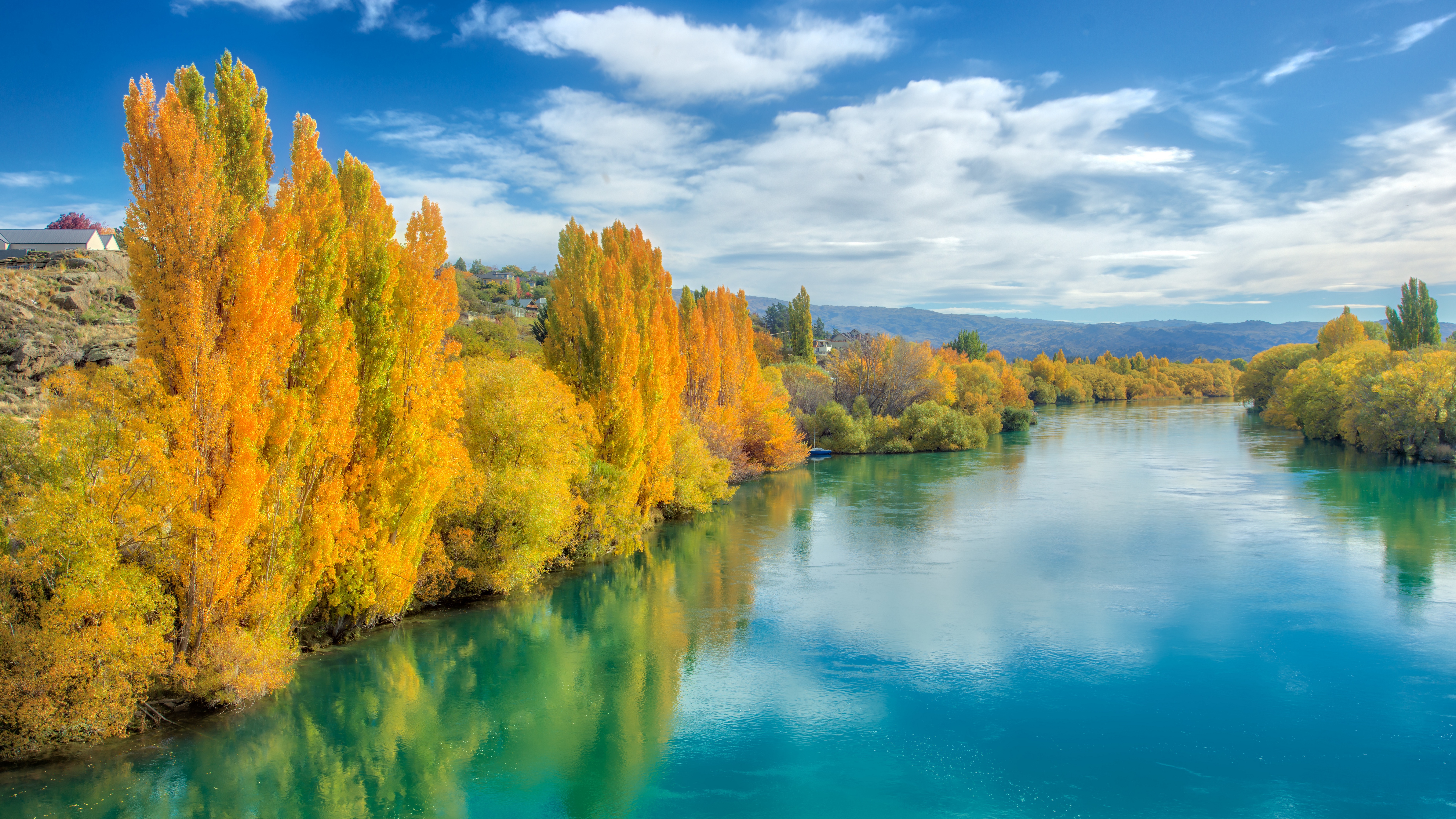 Autumn trees line a bright blue river in New Zealand HD Wallpaper