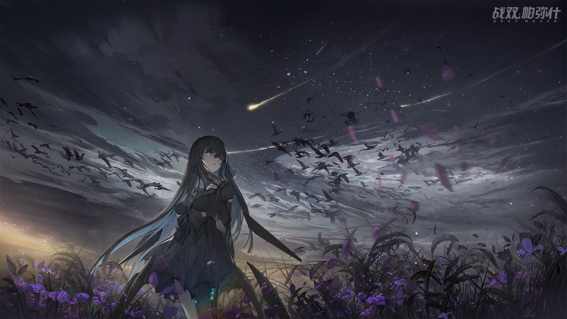 Punishing: Gray Raven anime girl with birds and meteors HD Wallpaper