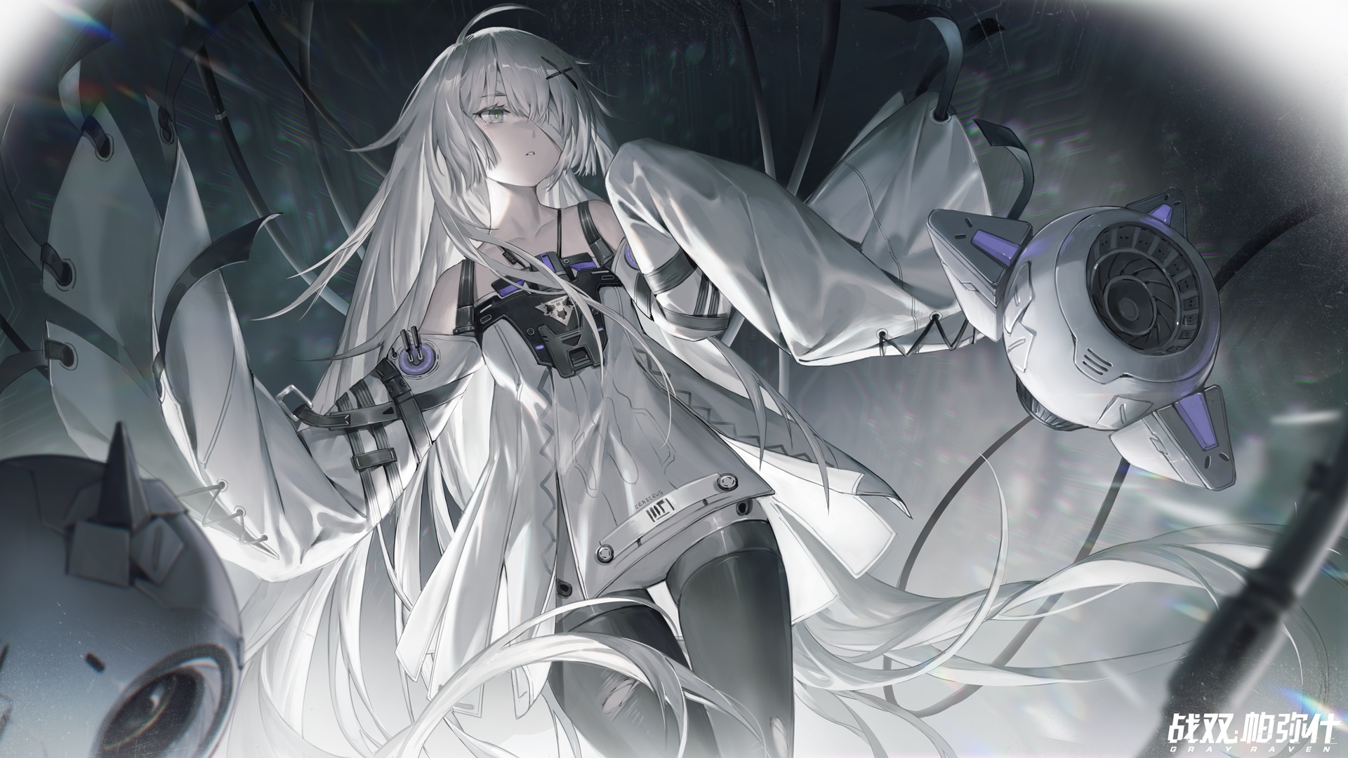 Kamui from Punishing: Gray Raven HD Wallpaper