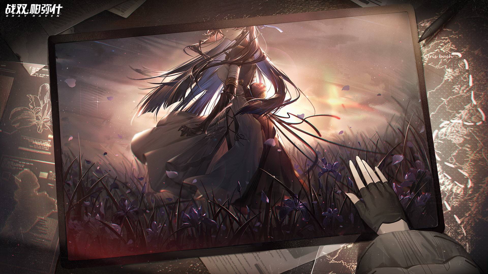 Gray Raven character in a field of flowers HD Wallpaper