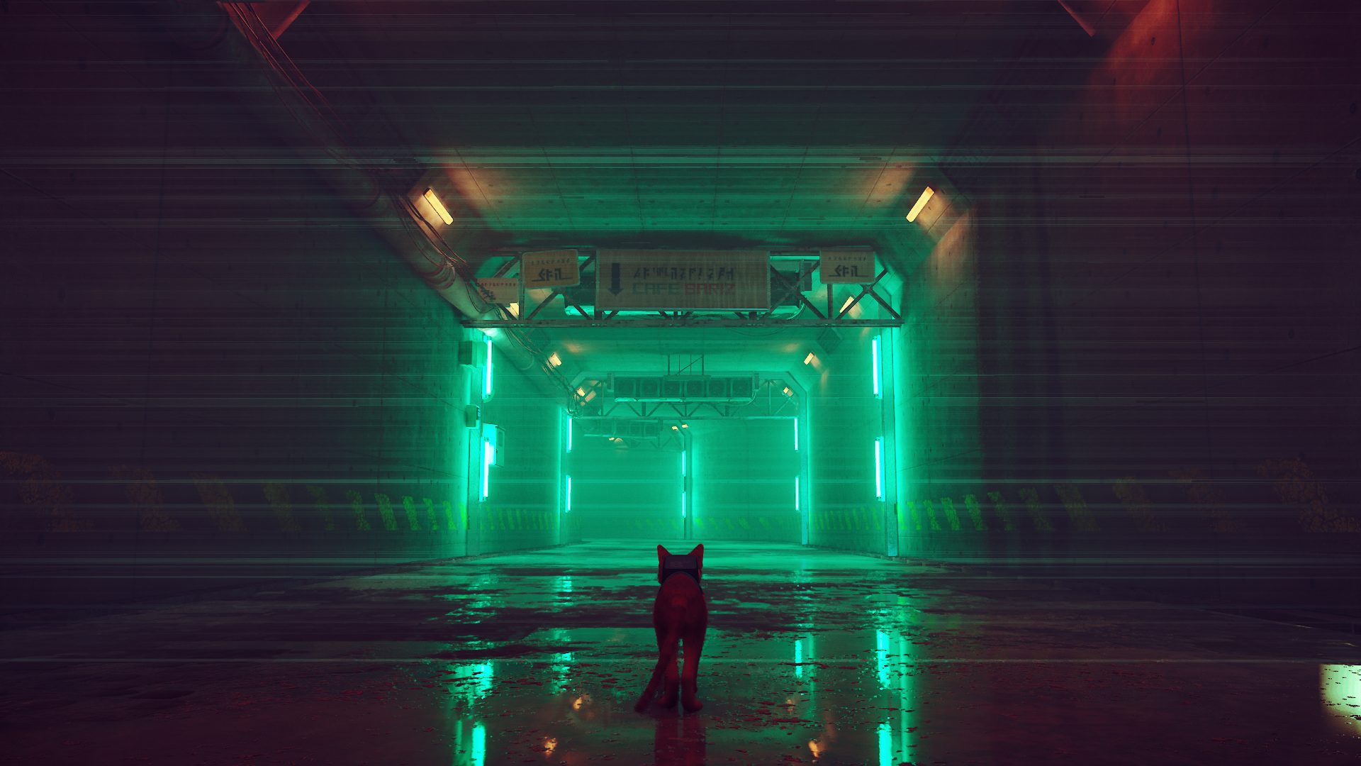 Cat in a neon-lit cyberpunk tunnel HD Wallpaper