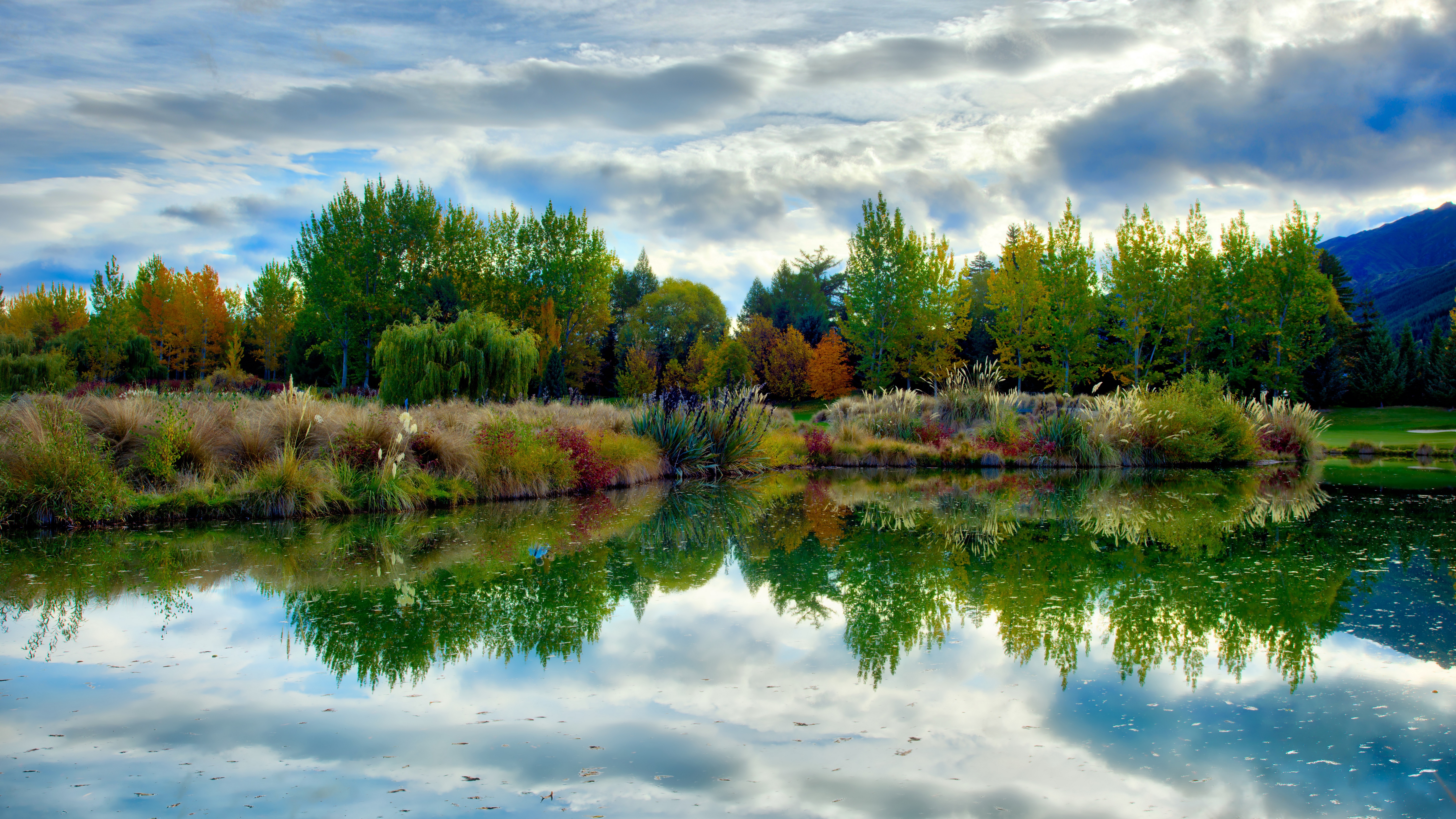 4K New Zealand landscape with trees and reflection HD Wallpaper