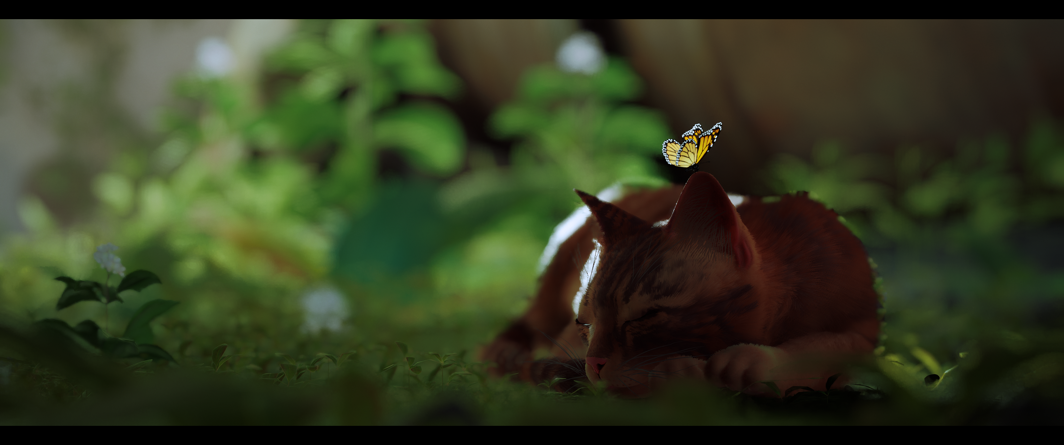 Stray: Cat and butterfly in a garden HD Wallpaper