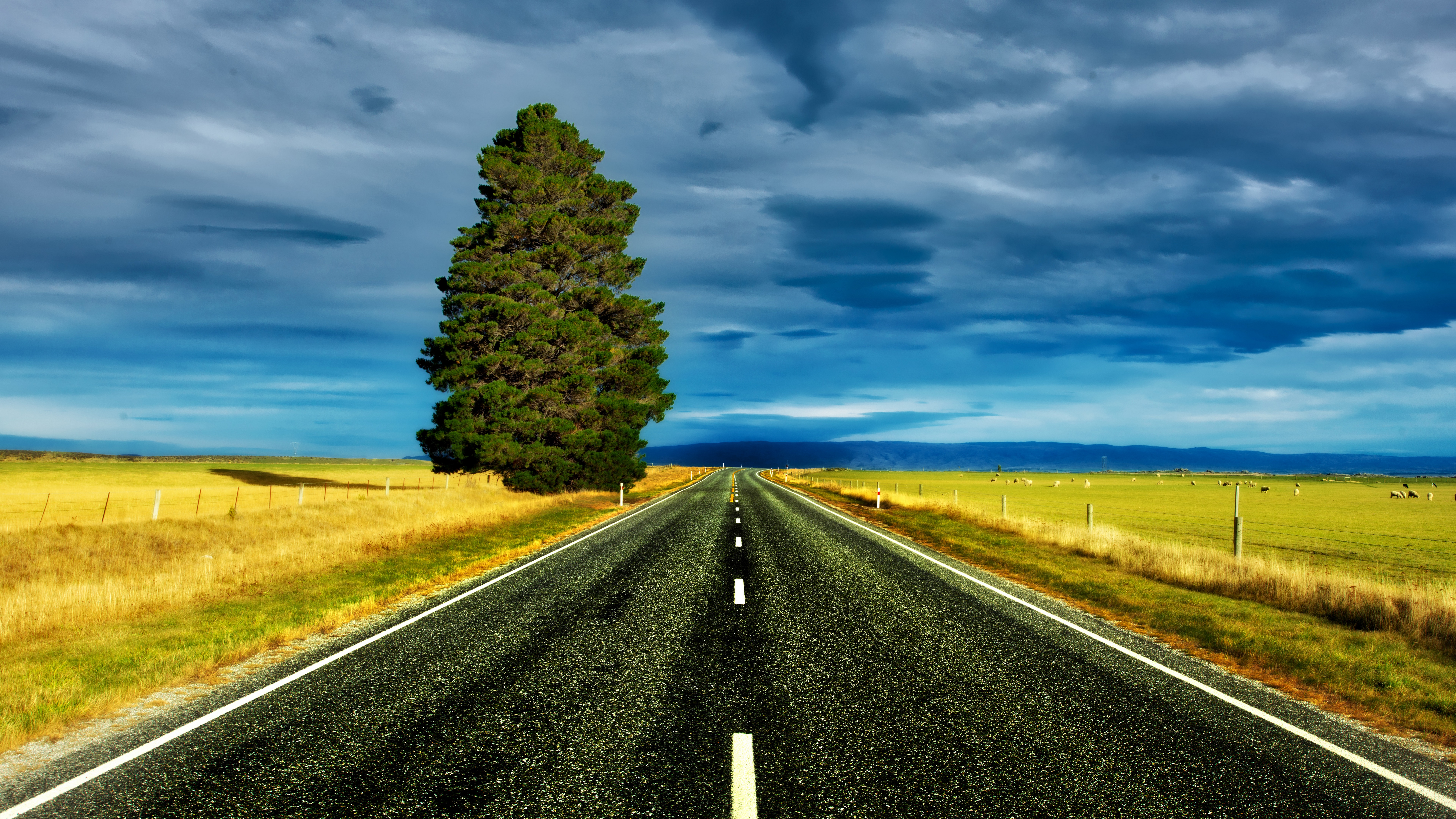 4K road through New Zealand landscape with tree and clouds HD Wallpaper