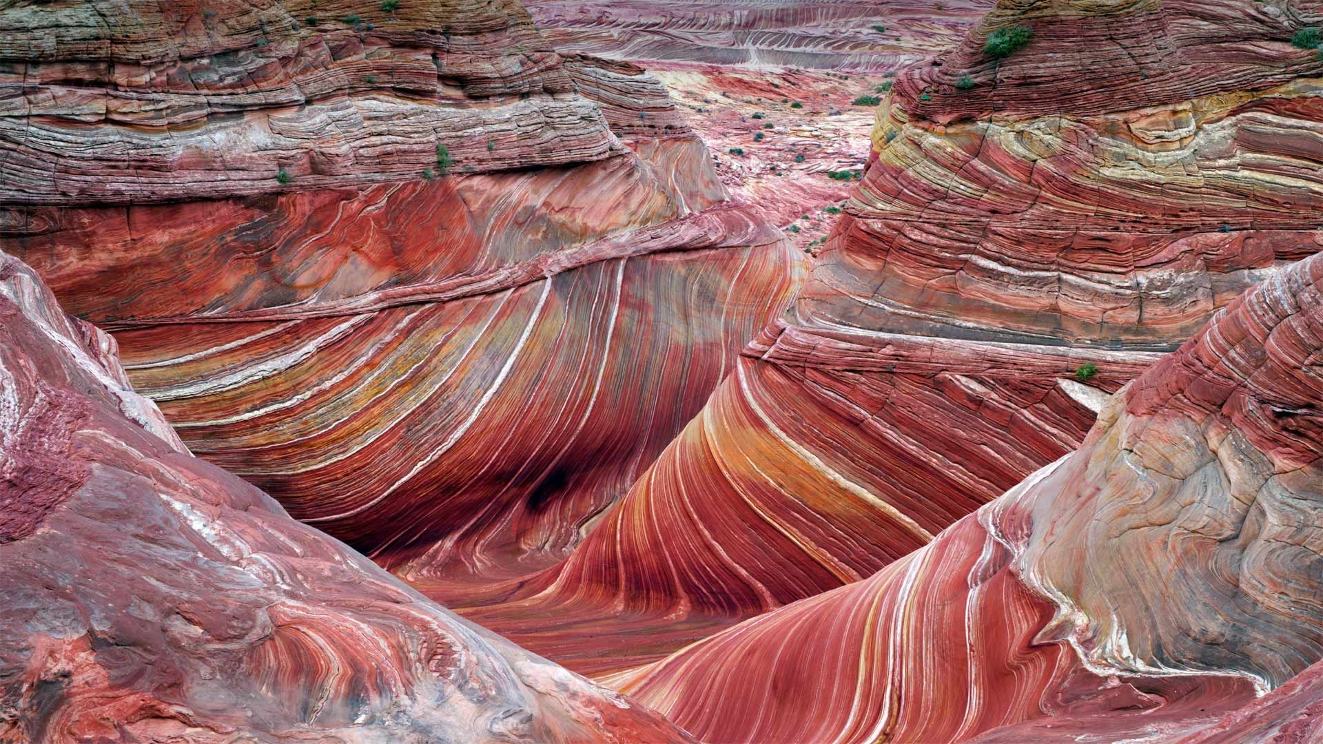 The Wave rock formation in Coyote Buttes, Arizona, USA HD Wallpaper