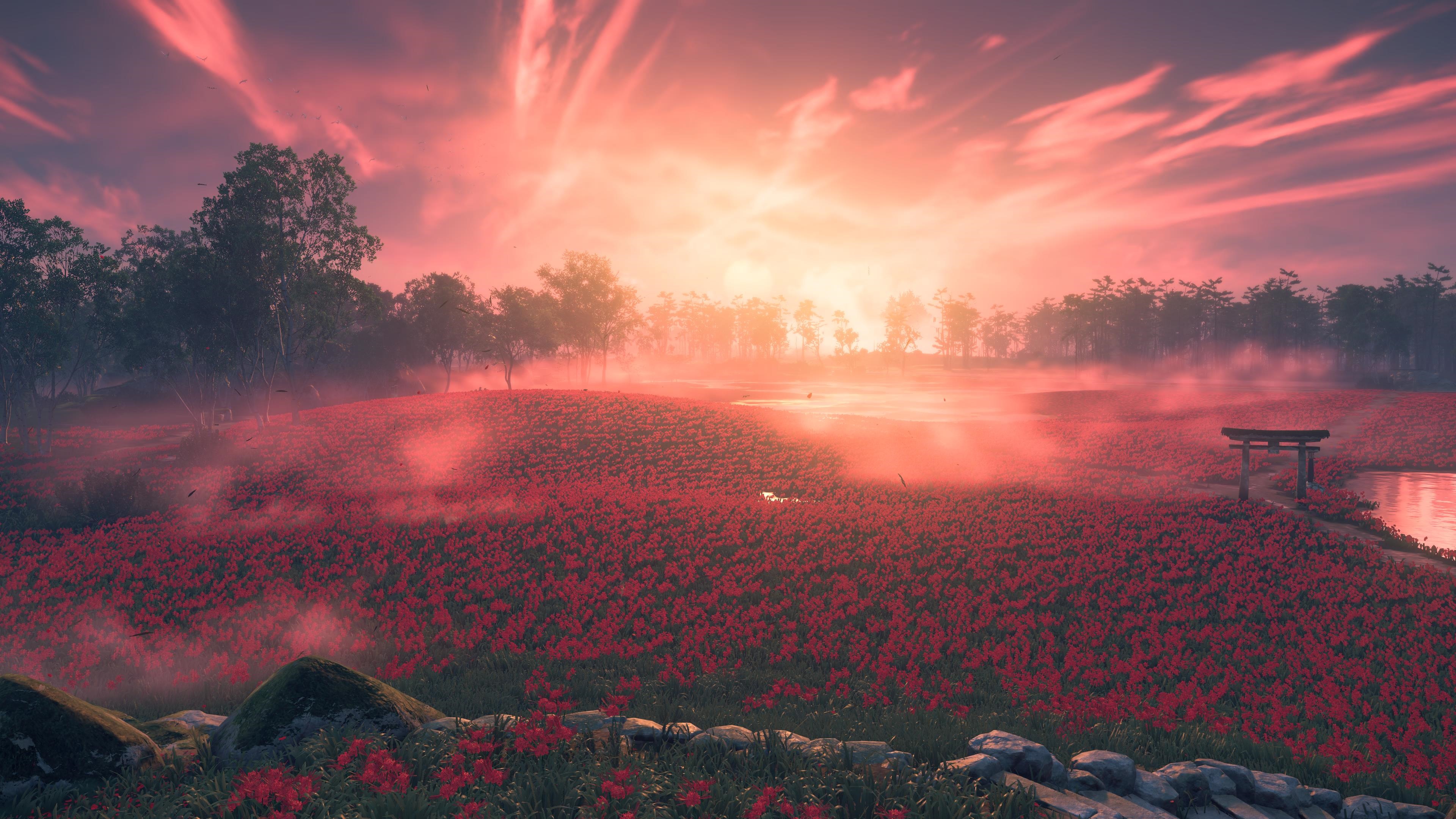 Ghost of Tsushima 4K field of red flowers HD Wallpaper