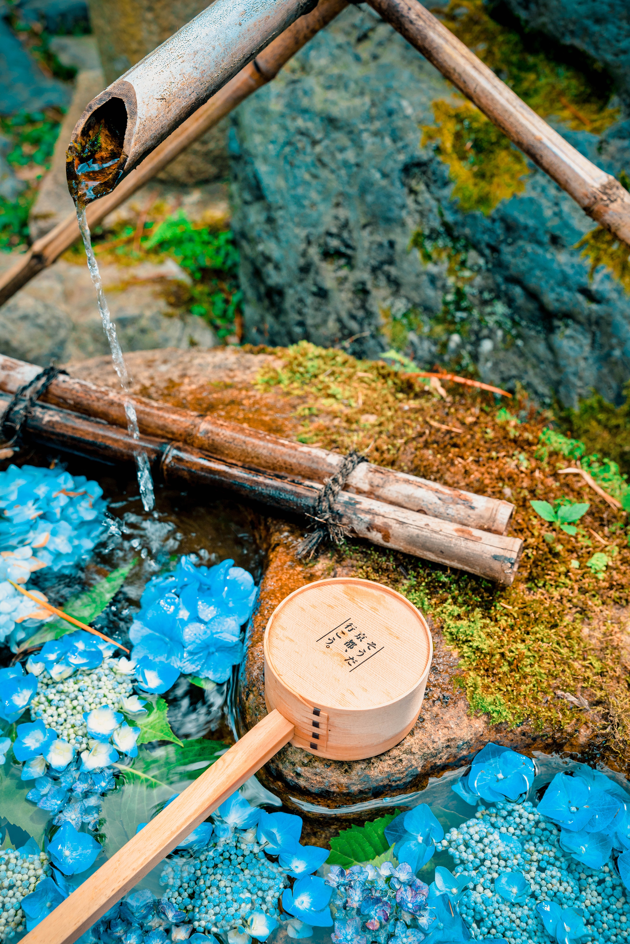 Japanese water dipper with hydrangeas and bamboo fountain HD Phone Wallpaper