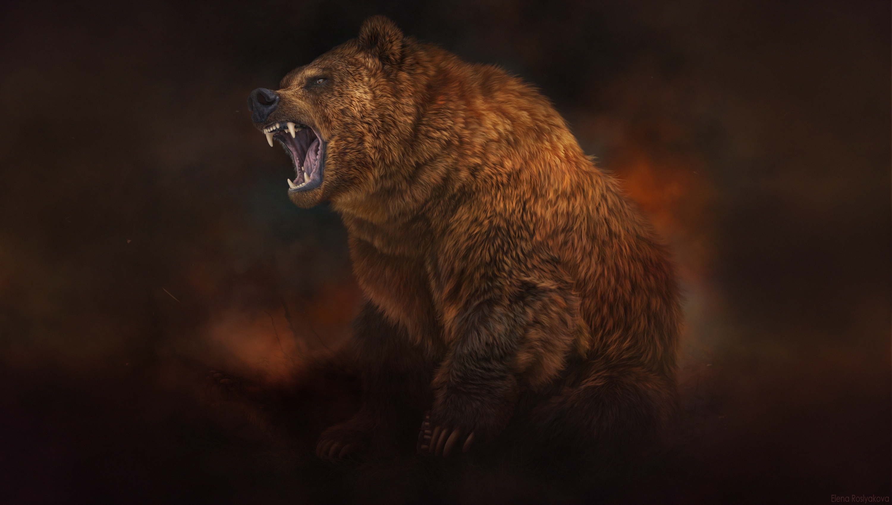 A roaring bear by Elena Roslyakova HD Wallpaper