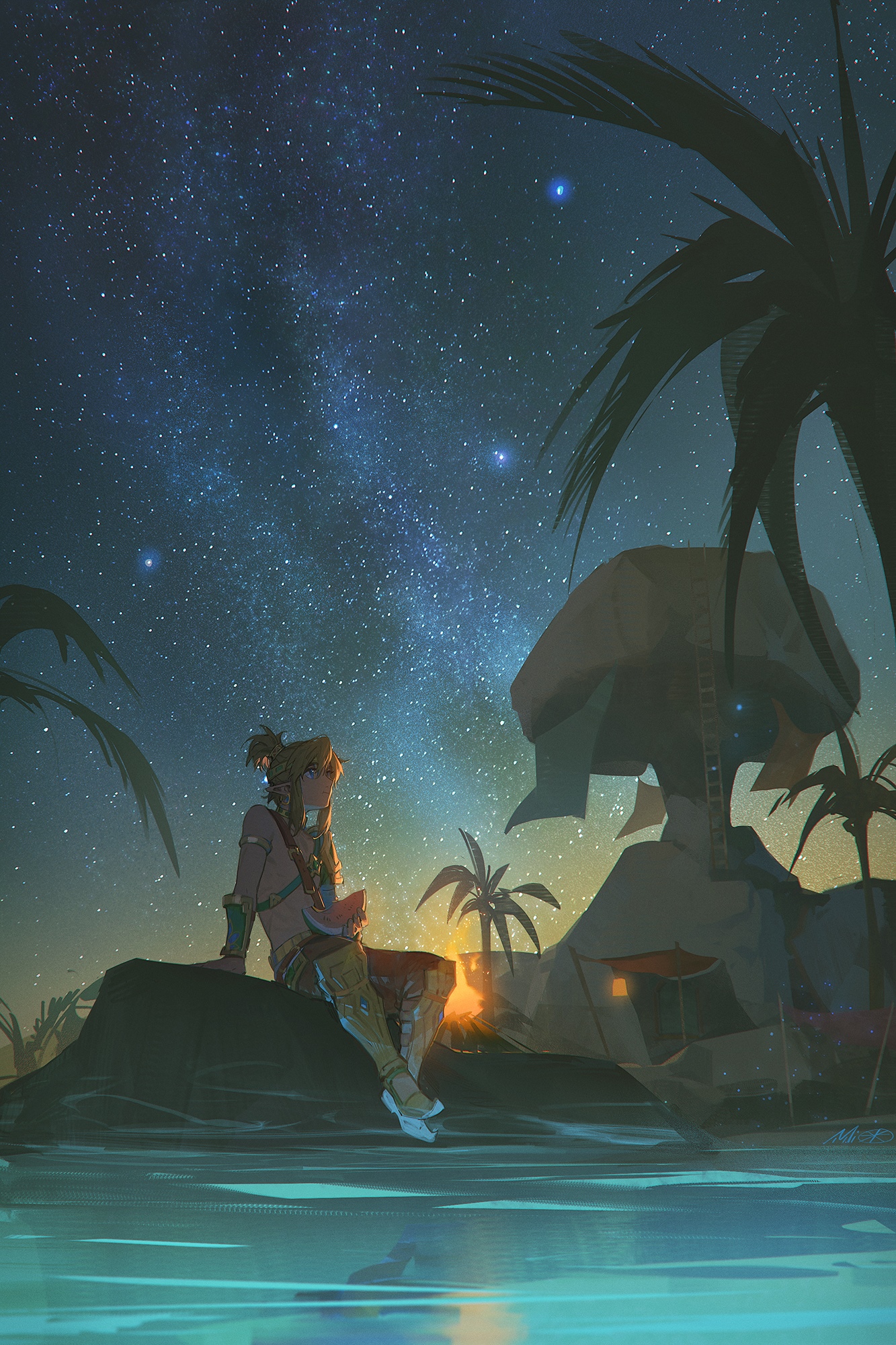 Link sitting by water under starry sky HD Phone Wallpaper