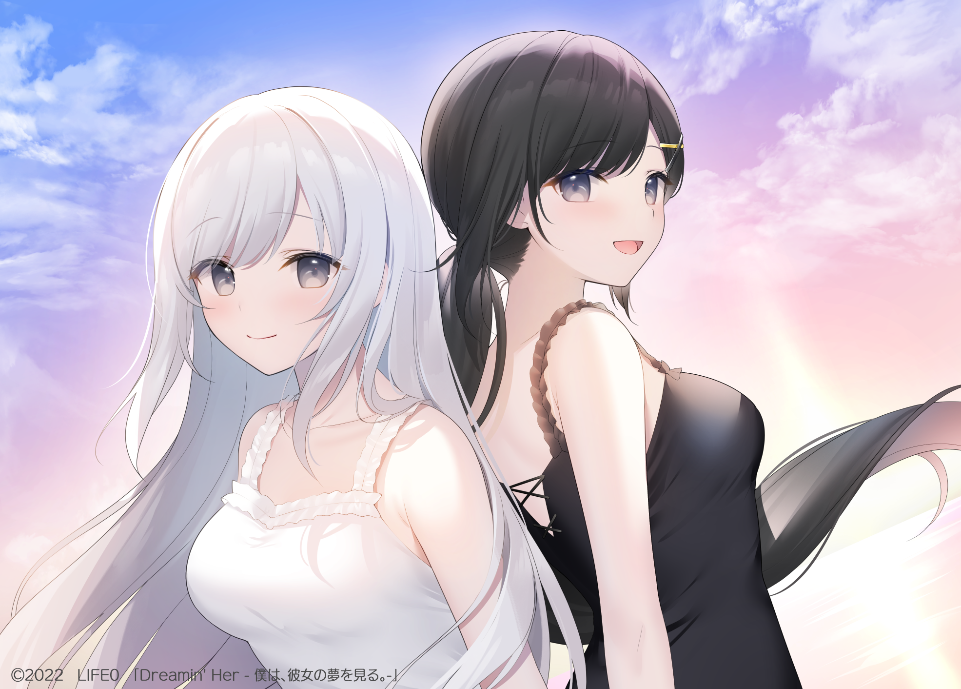 Two anime girls with white and black hair against a sunset sky HD Wallpaper