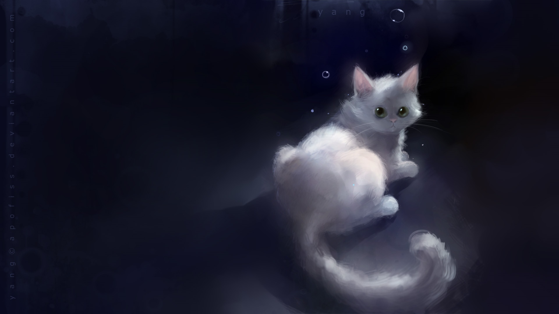 White cat with green eyes in dark water HD Wallpaper