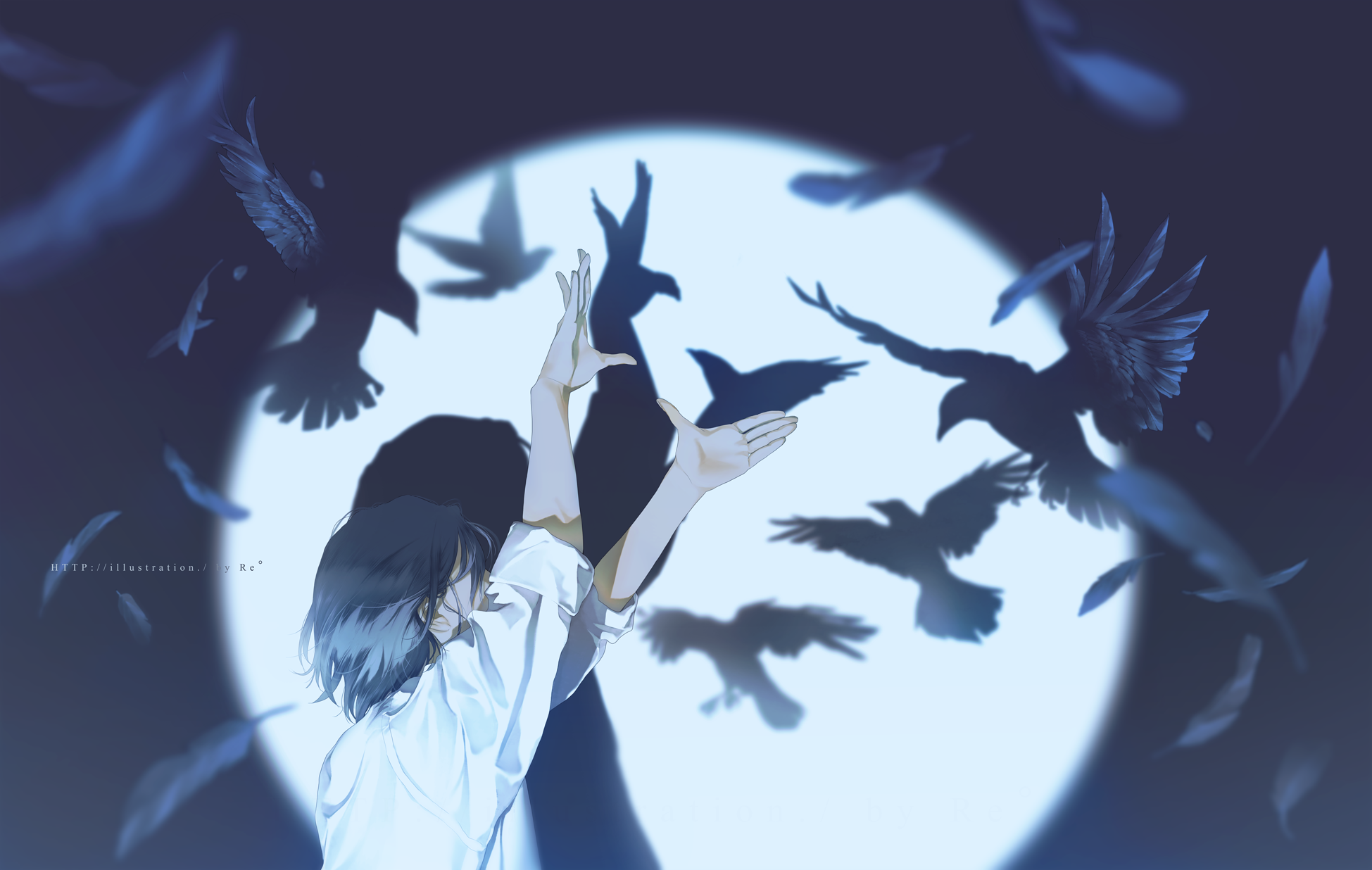 Person with shadows of birds and feathers HD Wallpaper