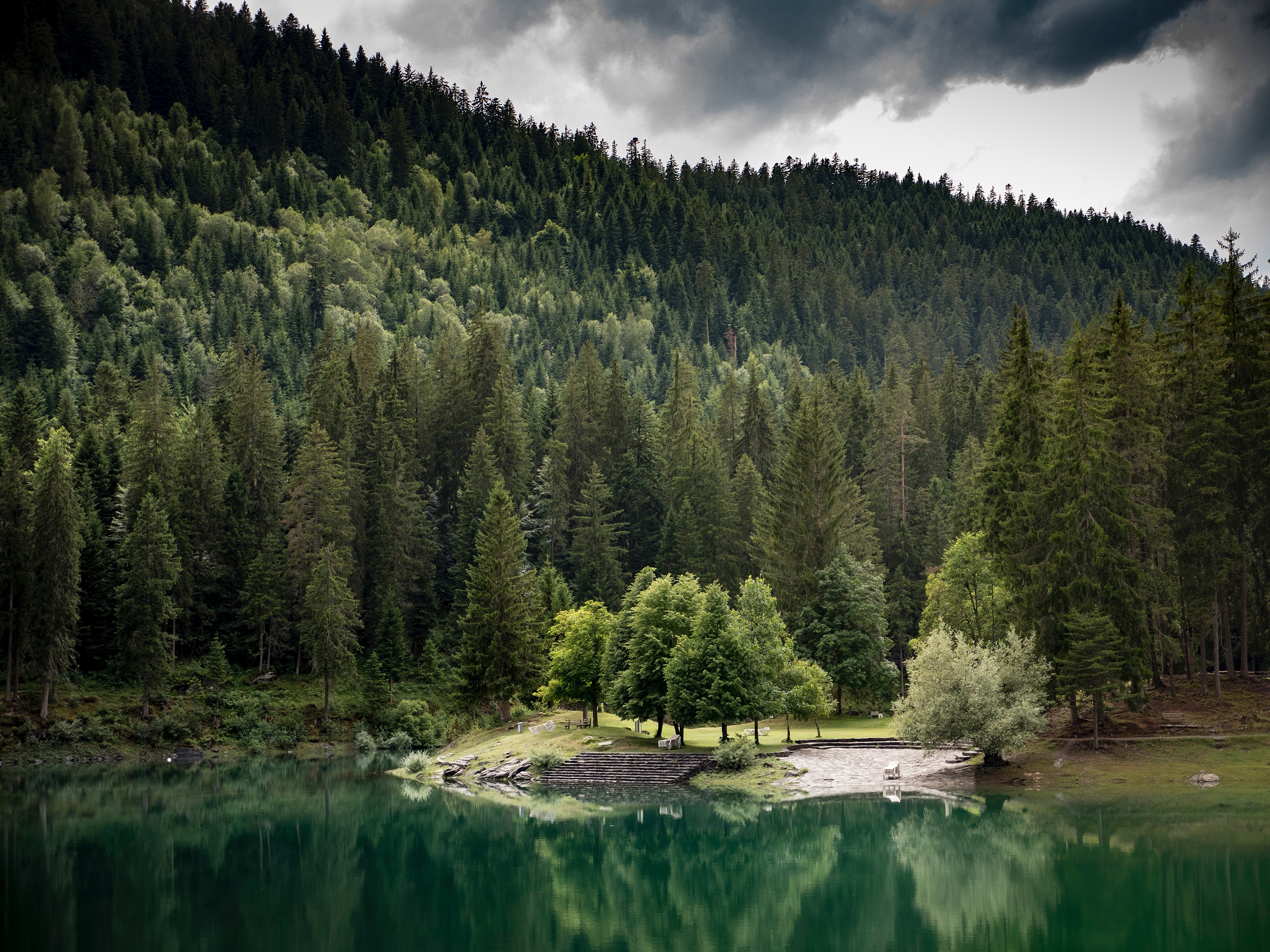Forest reflected in a calm lake under cloudy skies HD Wallpaper
