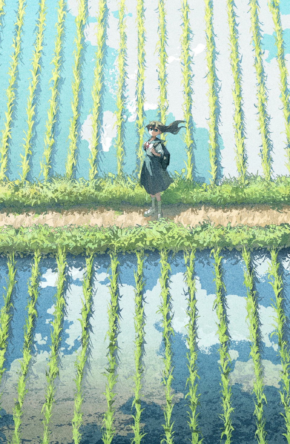 Girl in a school uniform in a rice field HD Phone Wallpaper