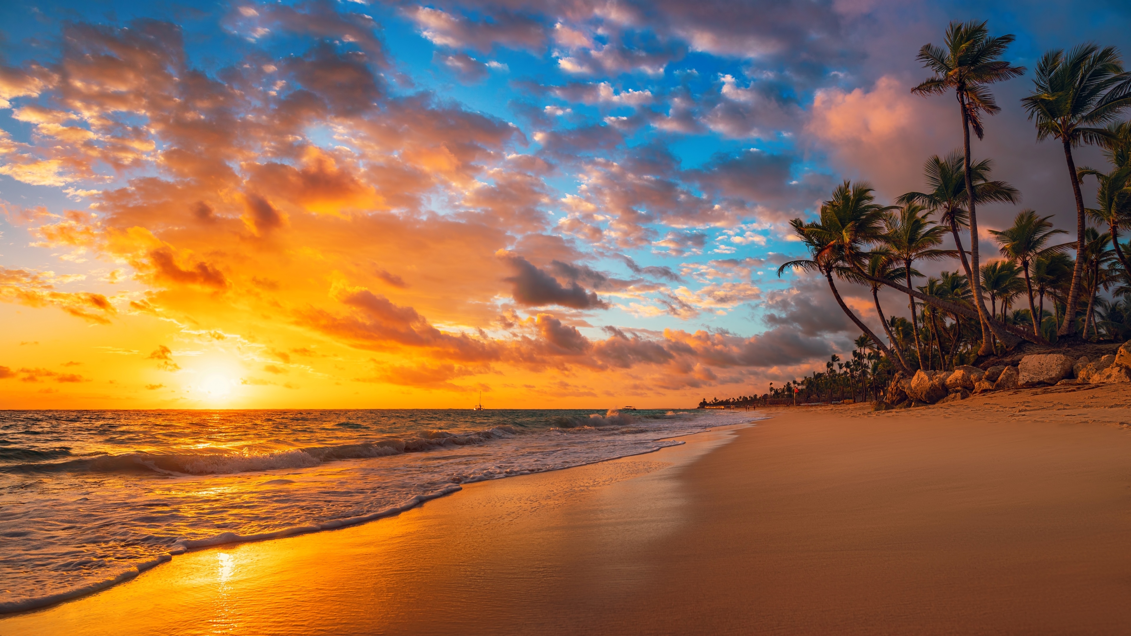 4K Tropical Island Beach Sunset with Palm Trees HD Wallpaper