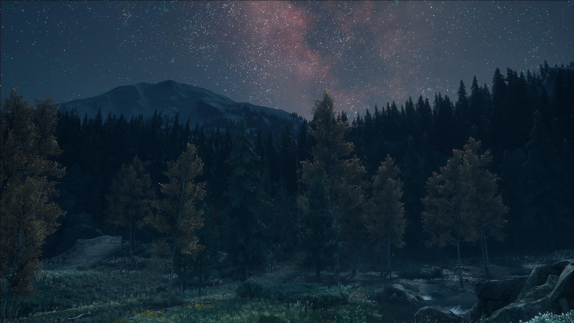 Days Gone forest at night with starry sky HD Wallpaper