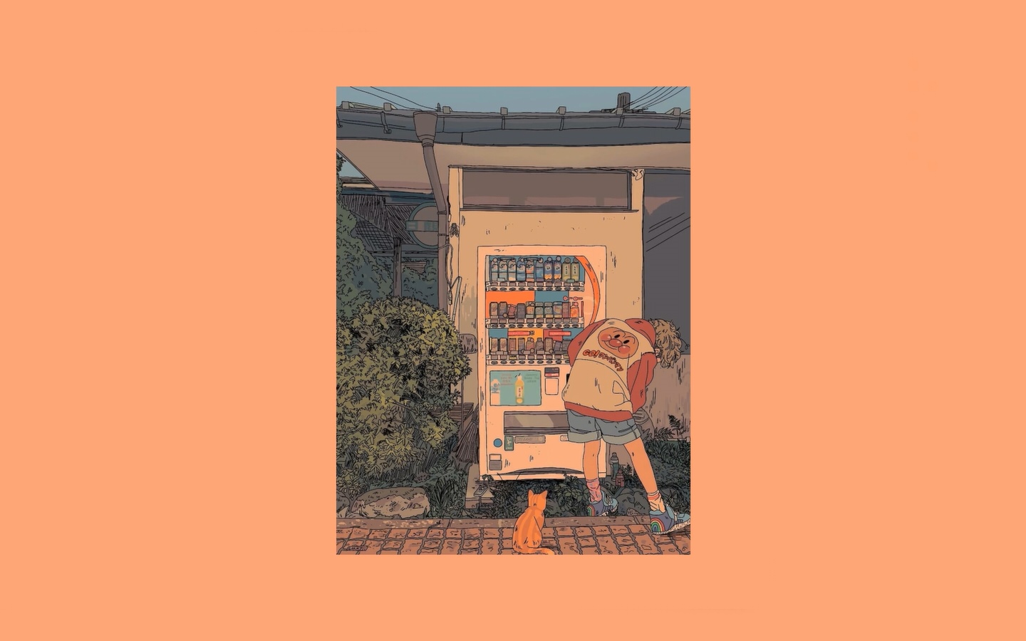 Girl at a vending machine with a cat HD Wallpaper